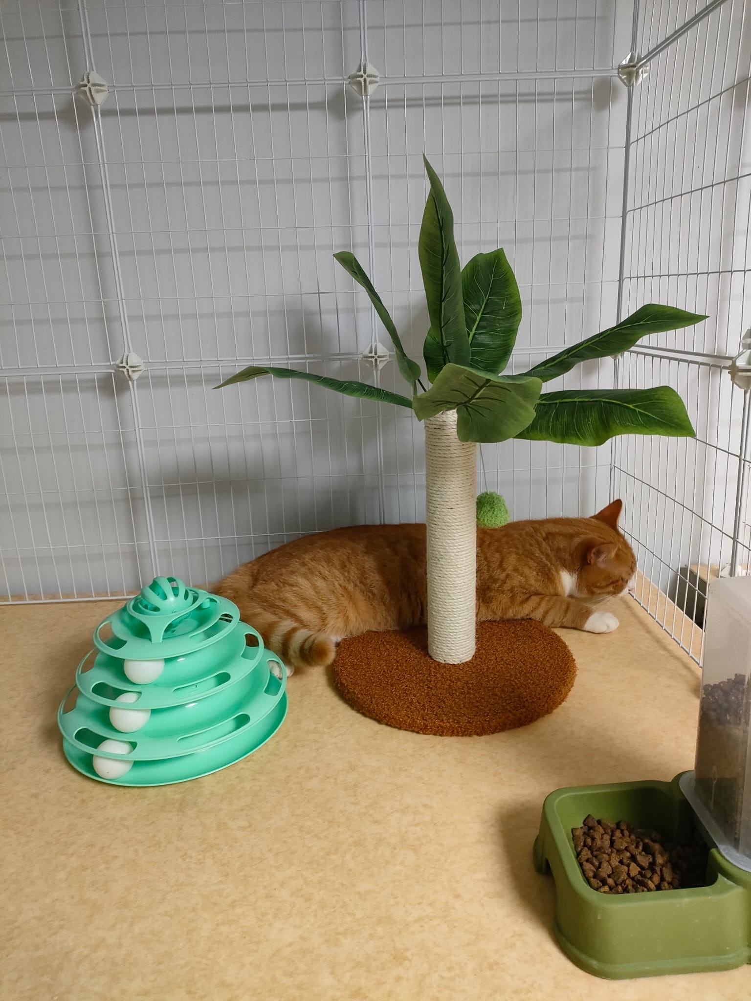 image-12