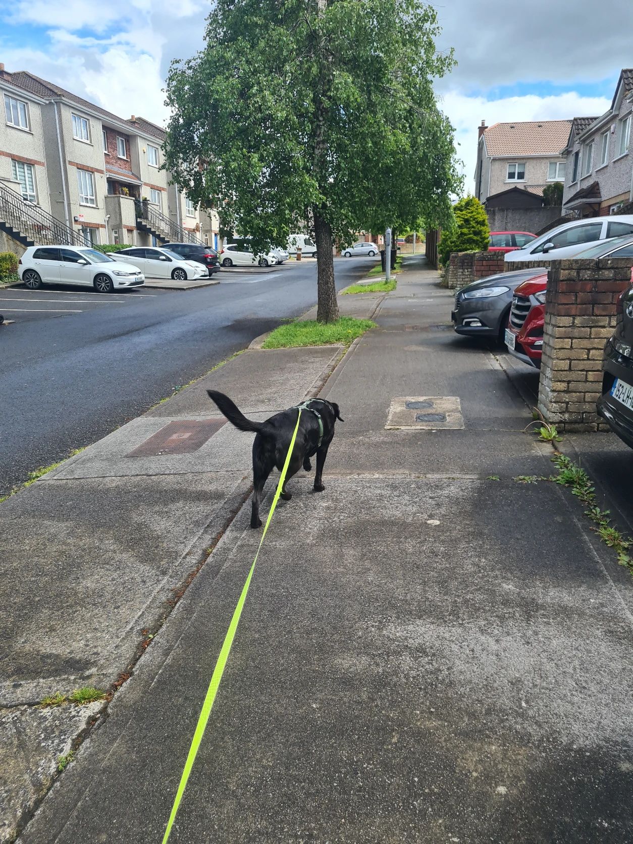 image-26