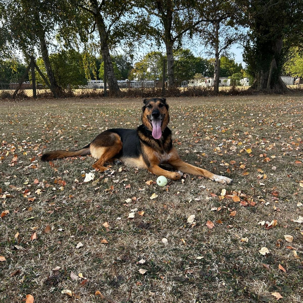 Ben