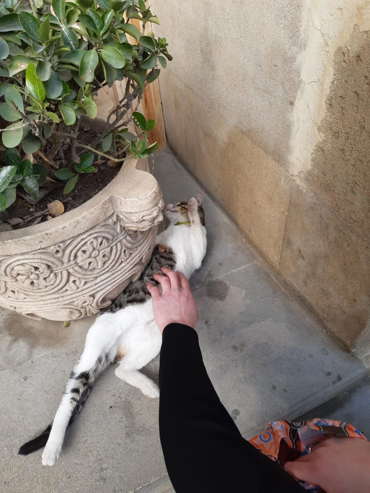 image-6