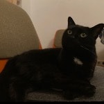 Luzie