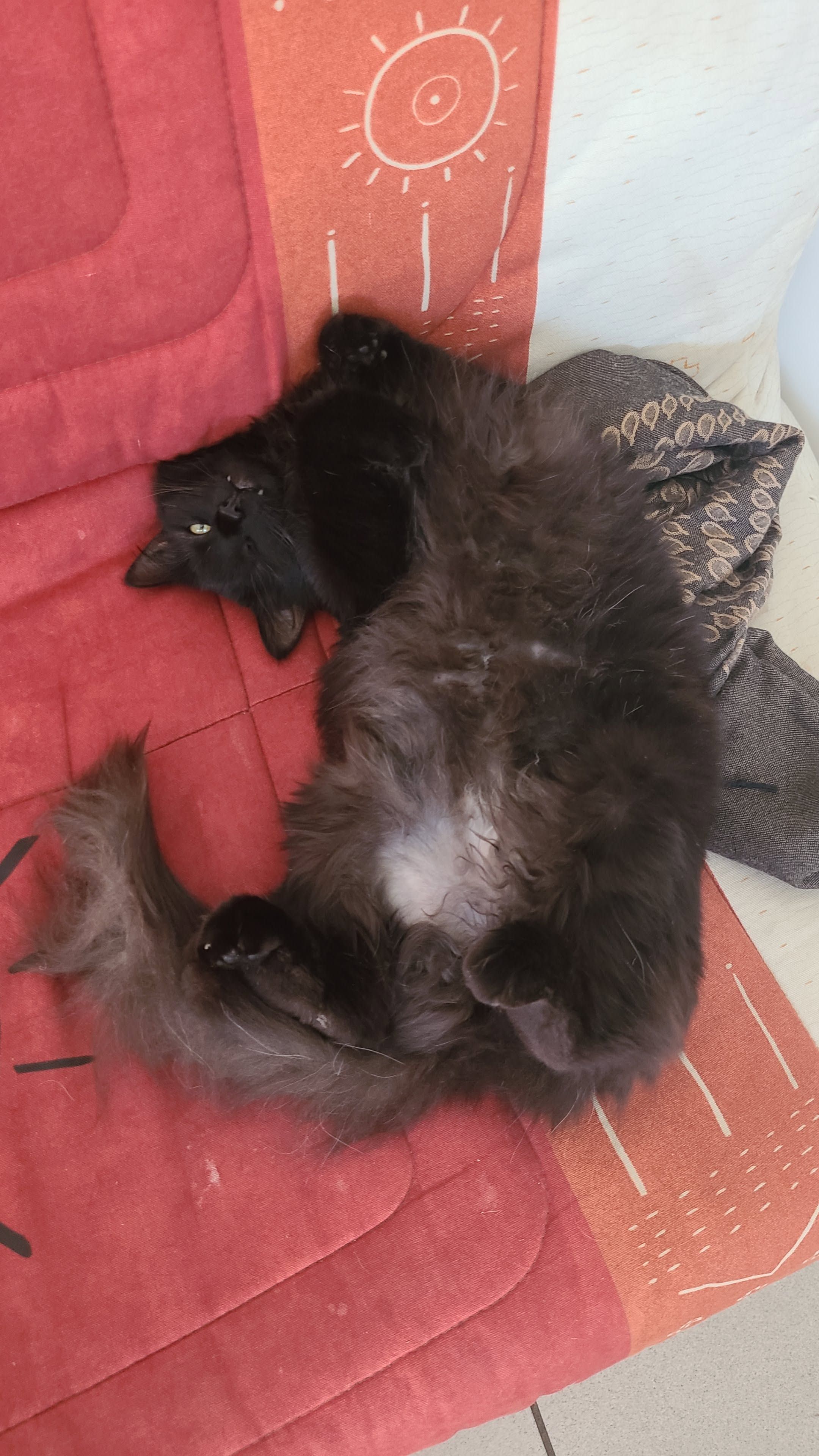 image-8