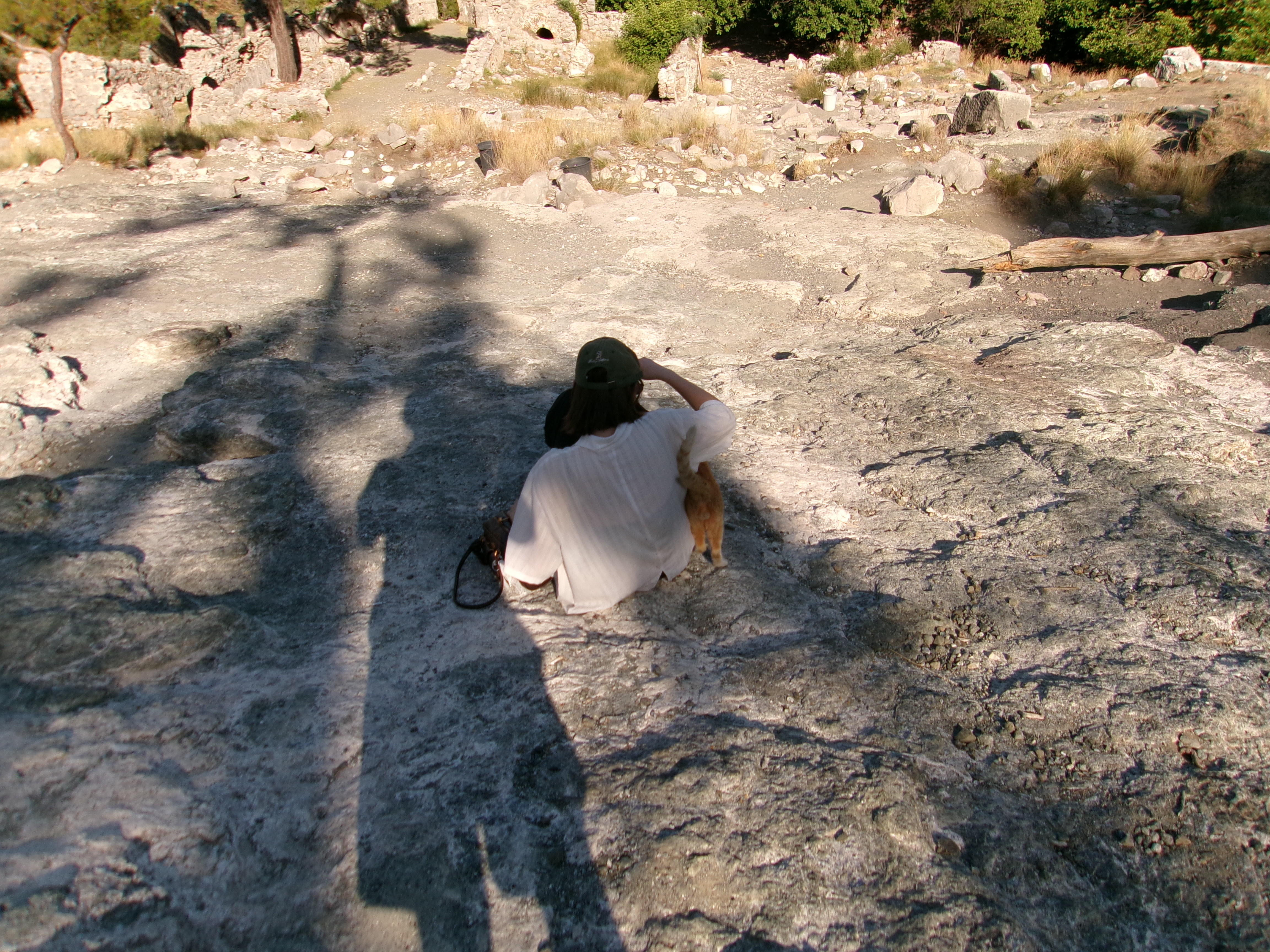 image-7