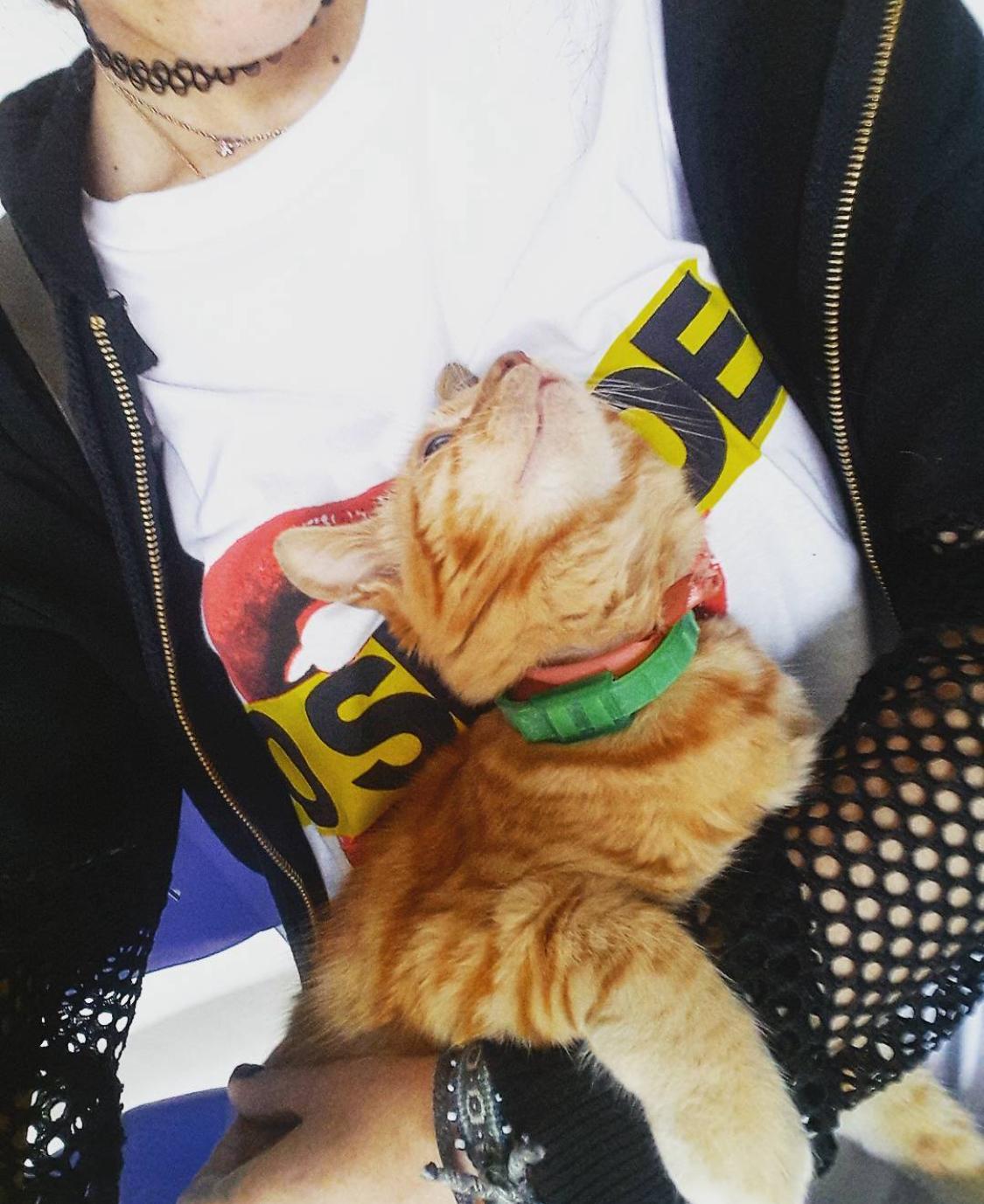 image-8