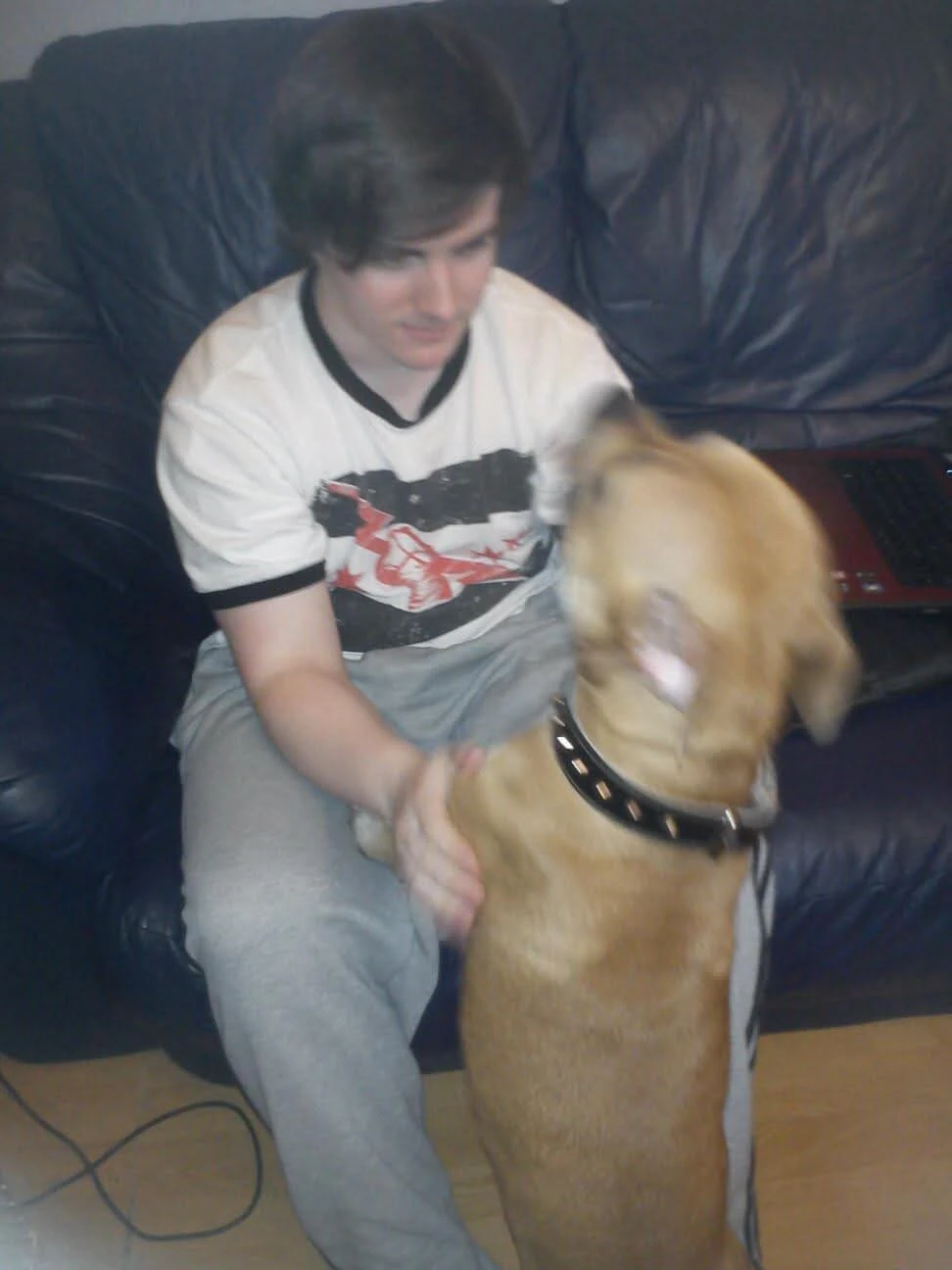 image-8