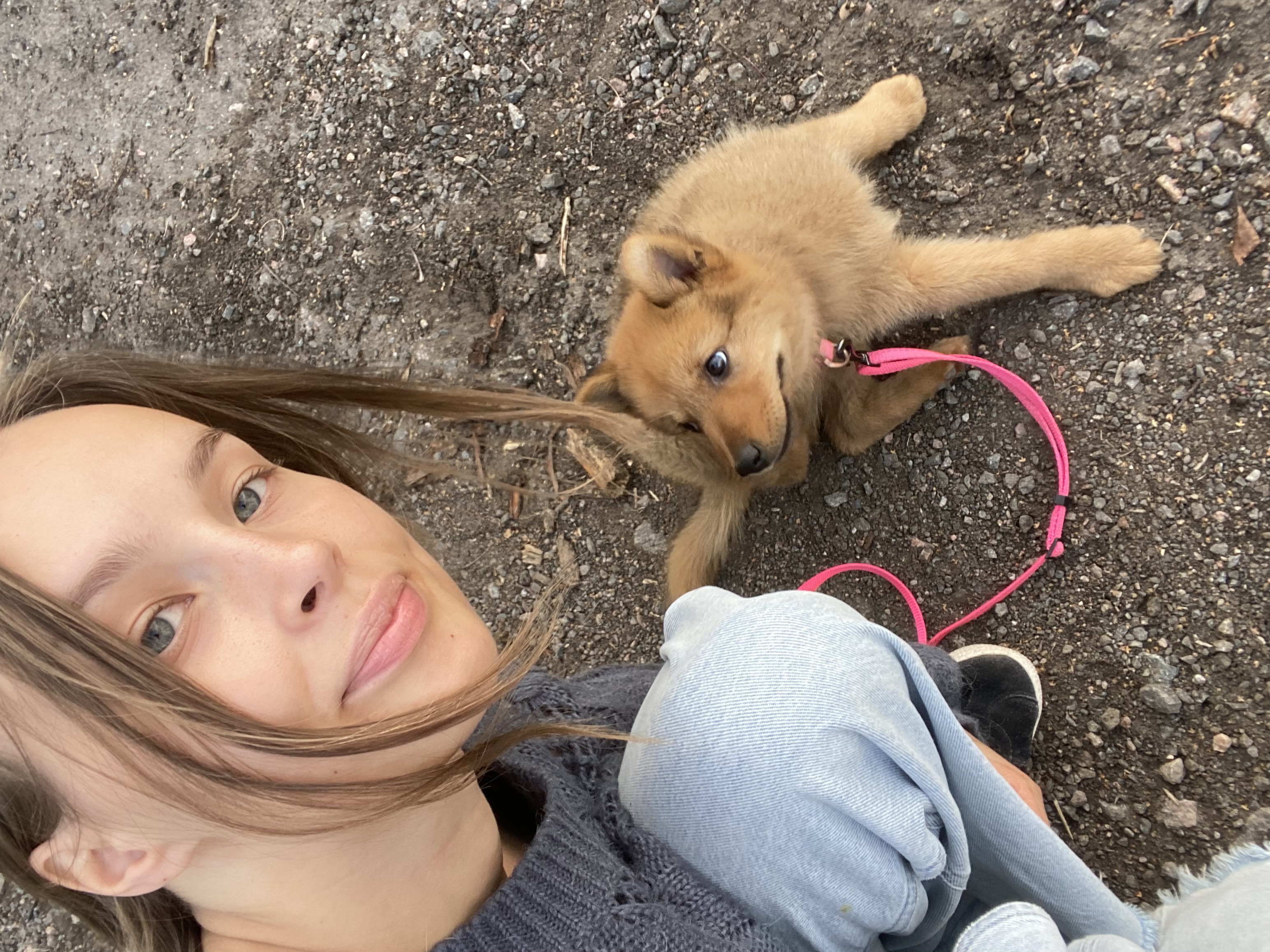 image-8