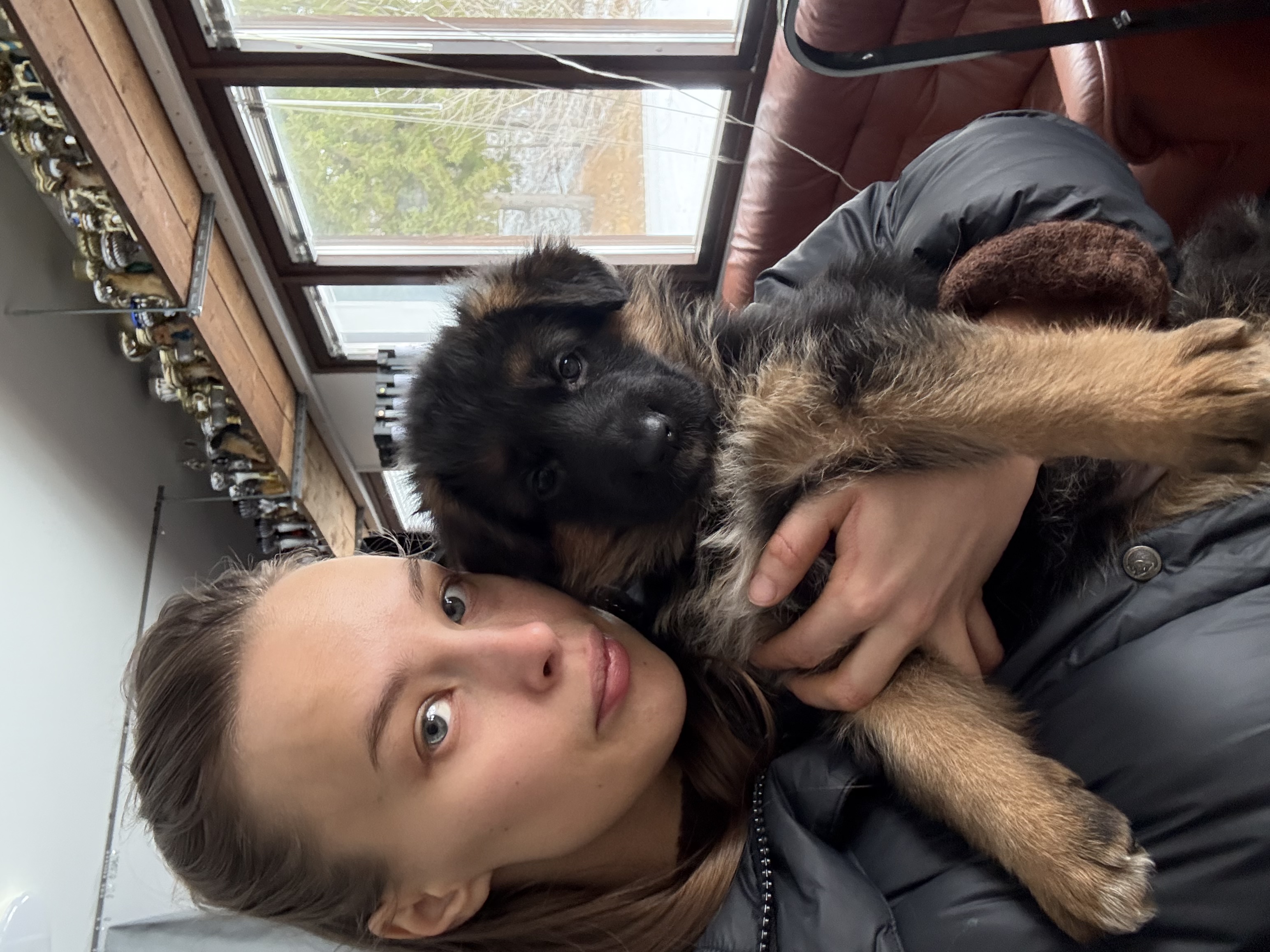 image-11