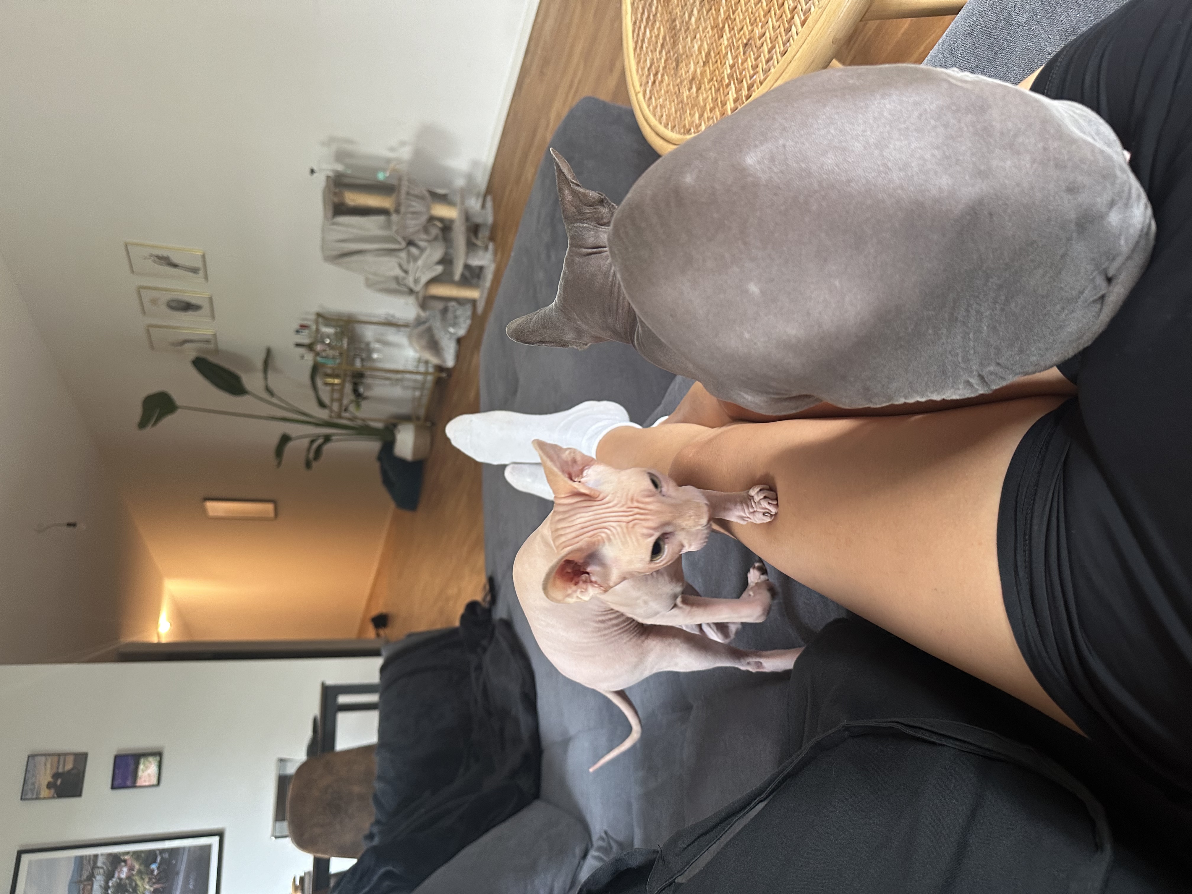 image-6
