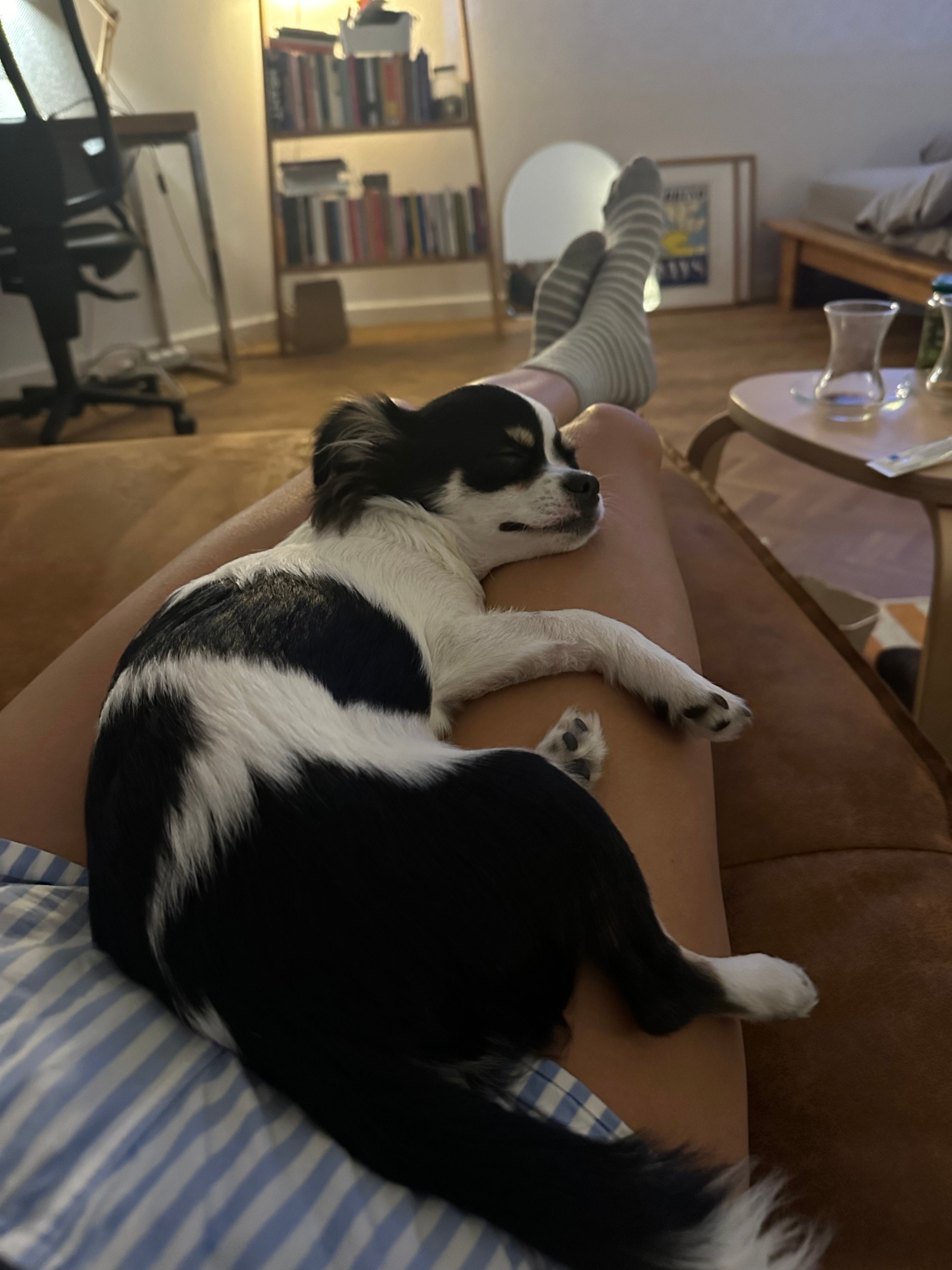 image-13