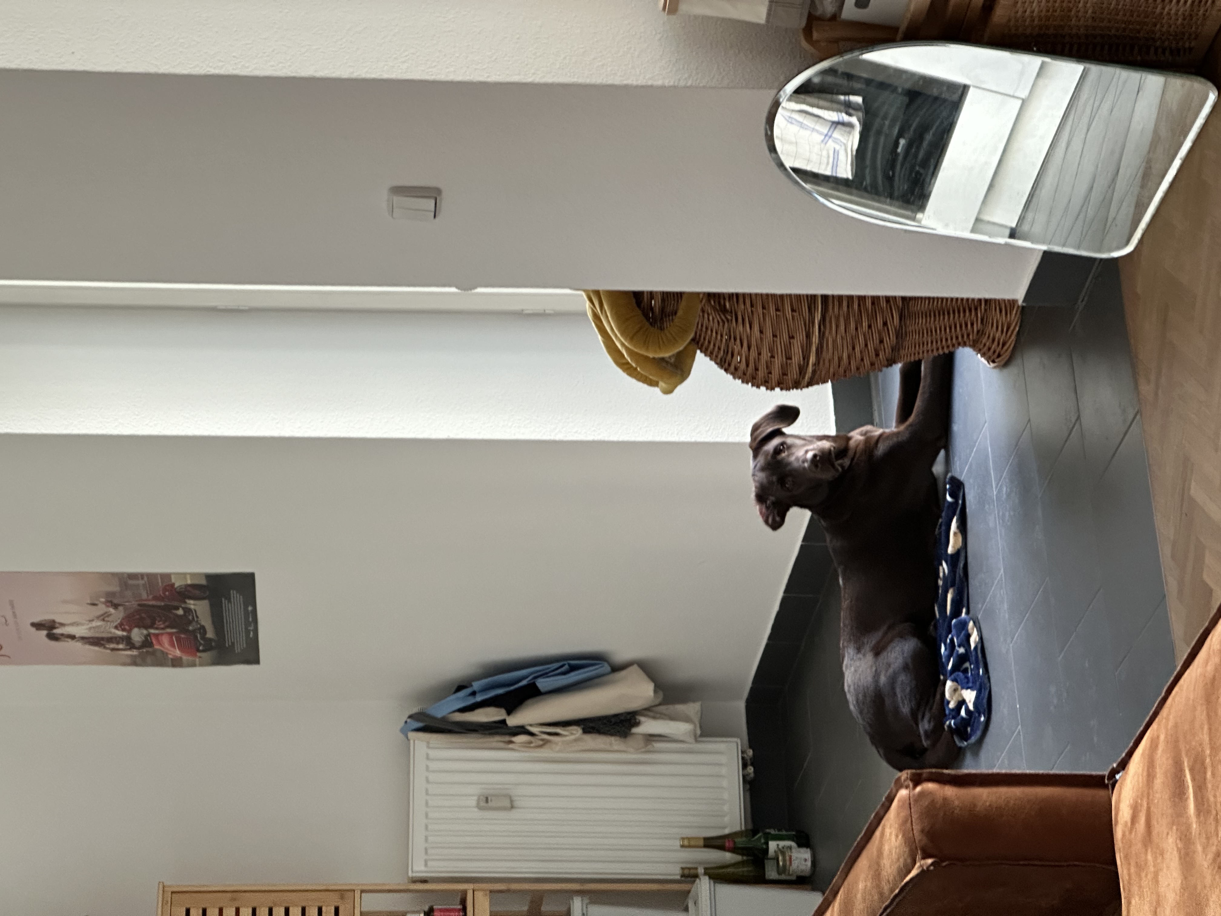 image-14