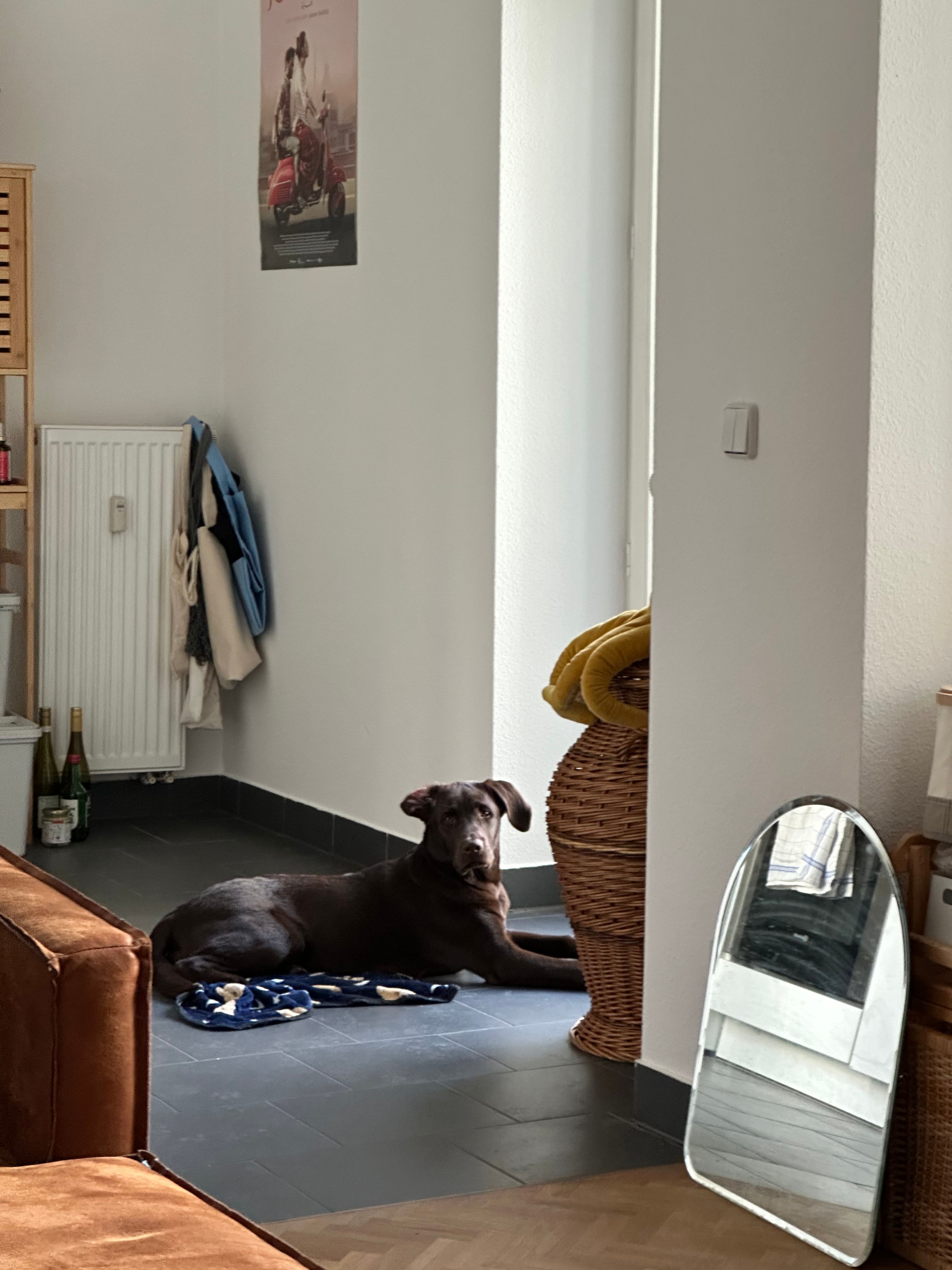 image-14
