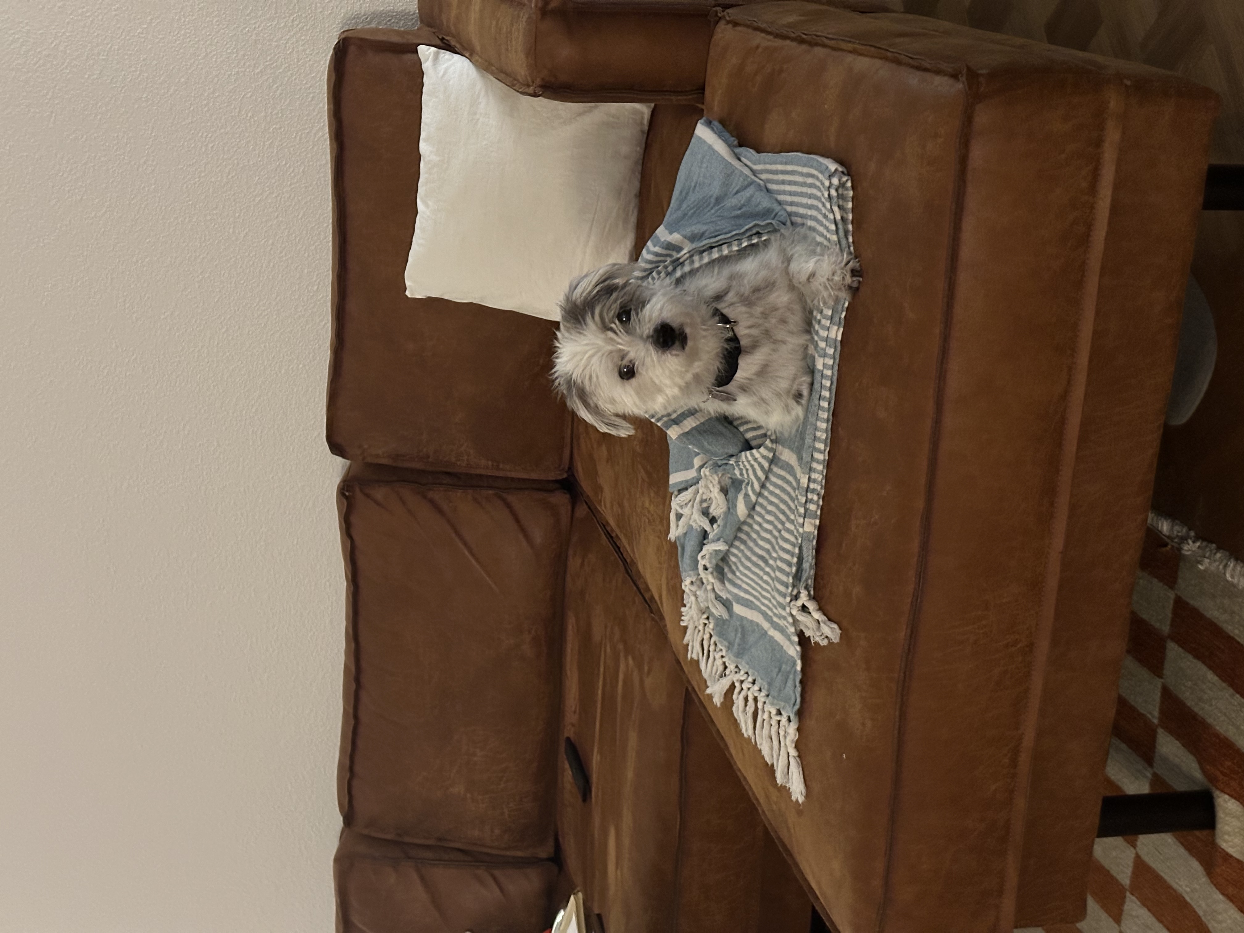 image-11