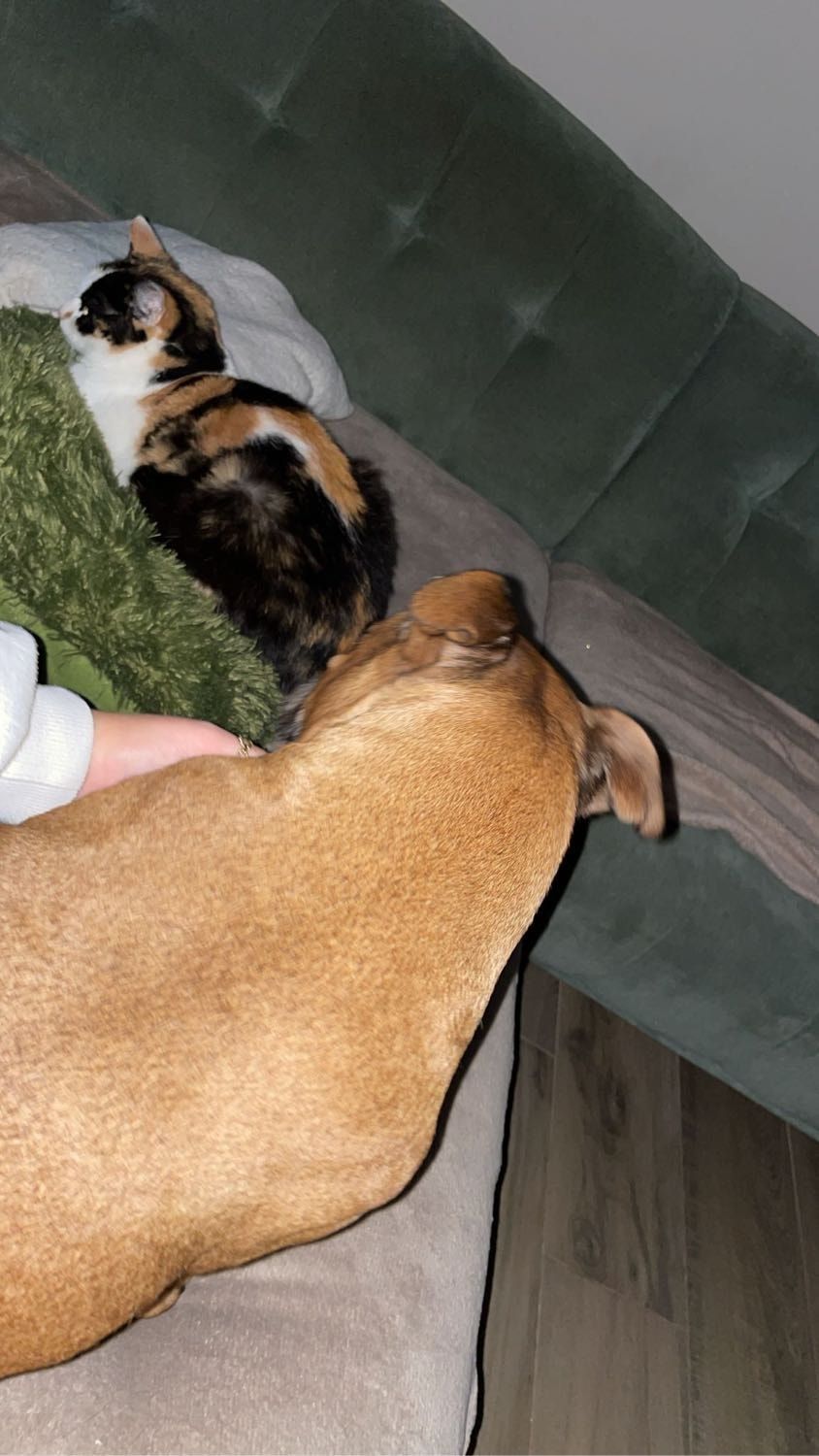 image-6