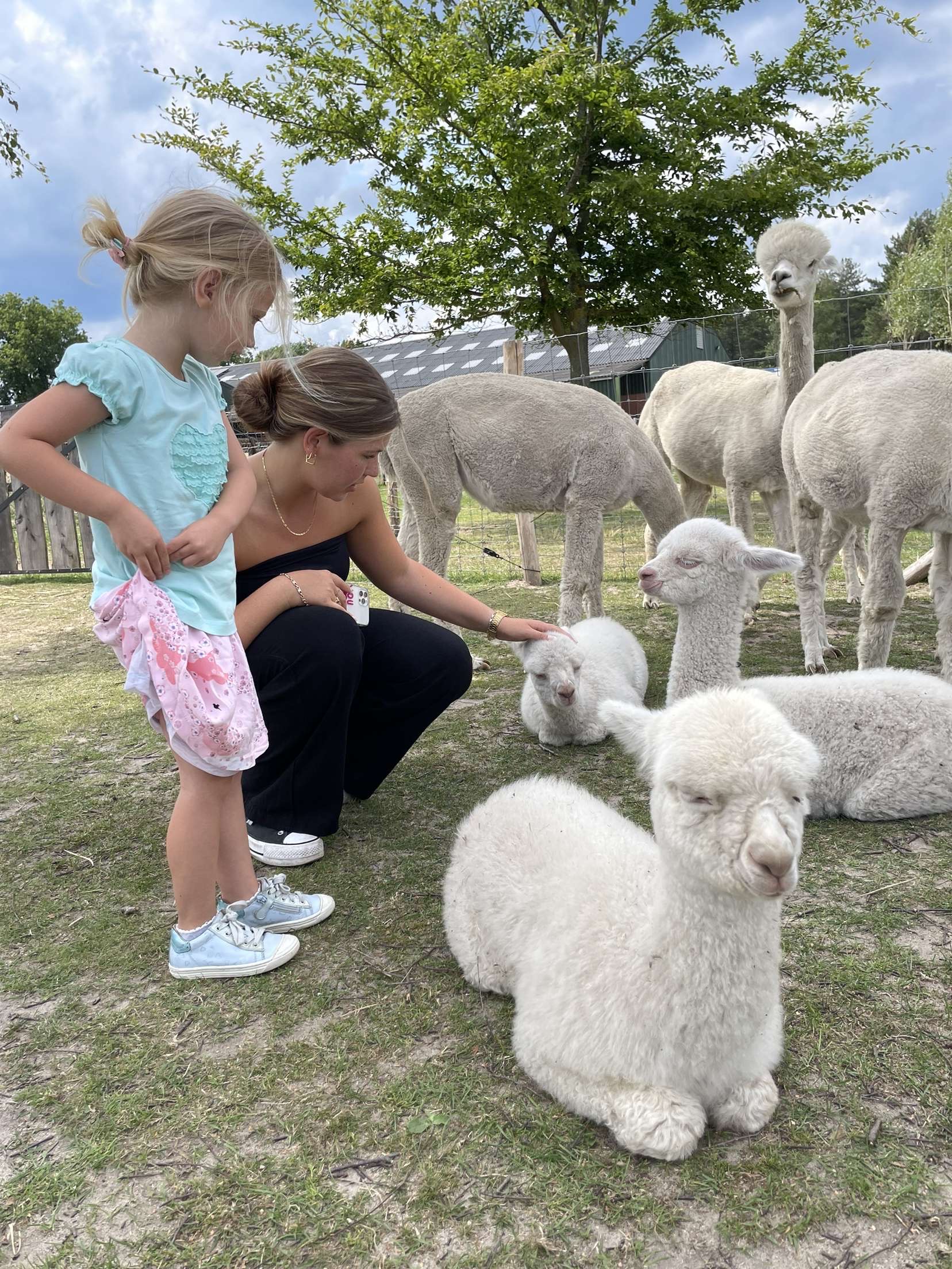 image-3