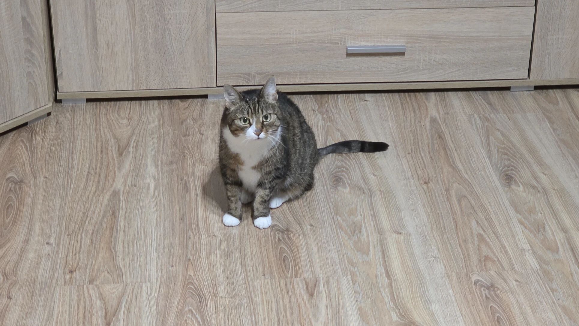 image-11
