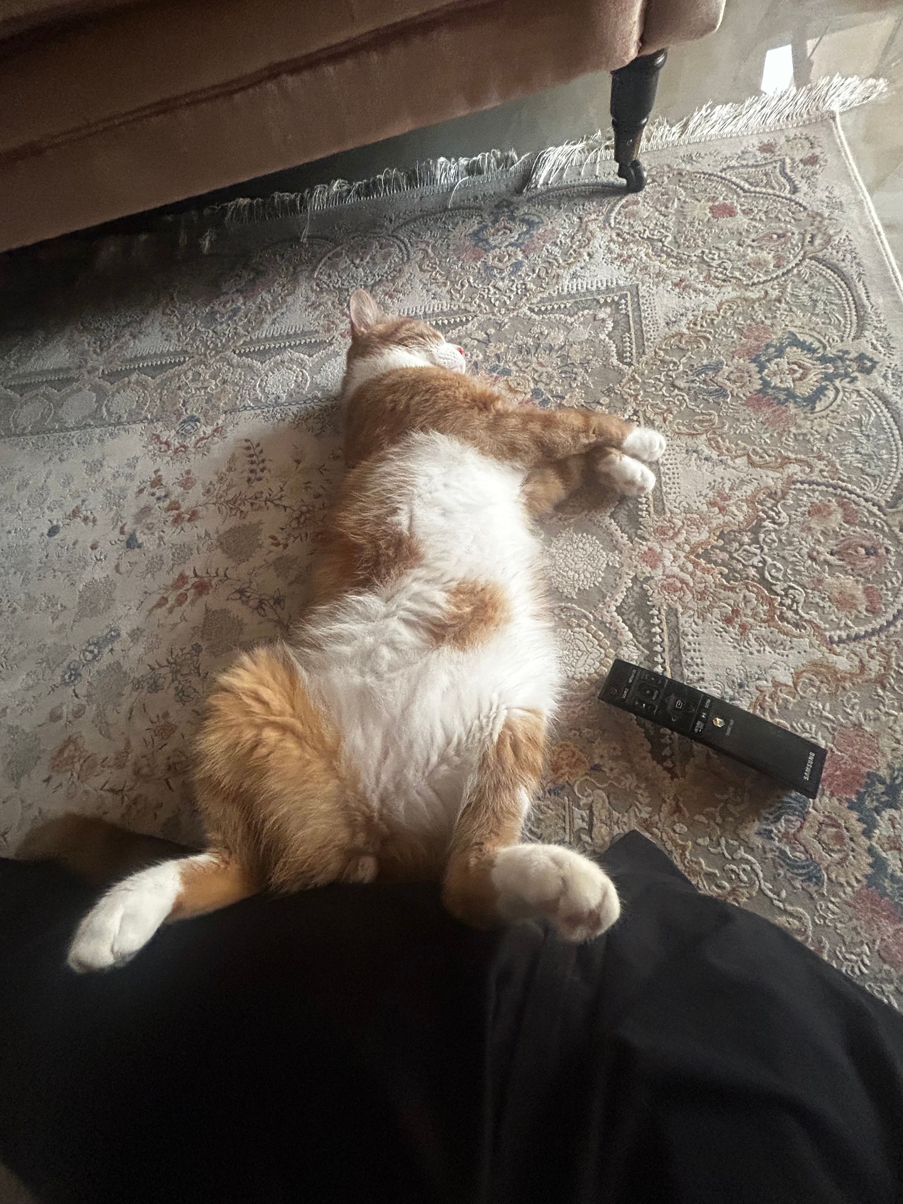 image-6