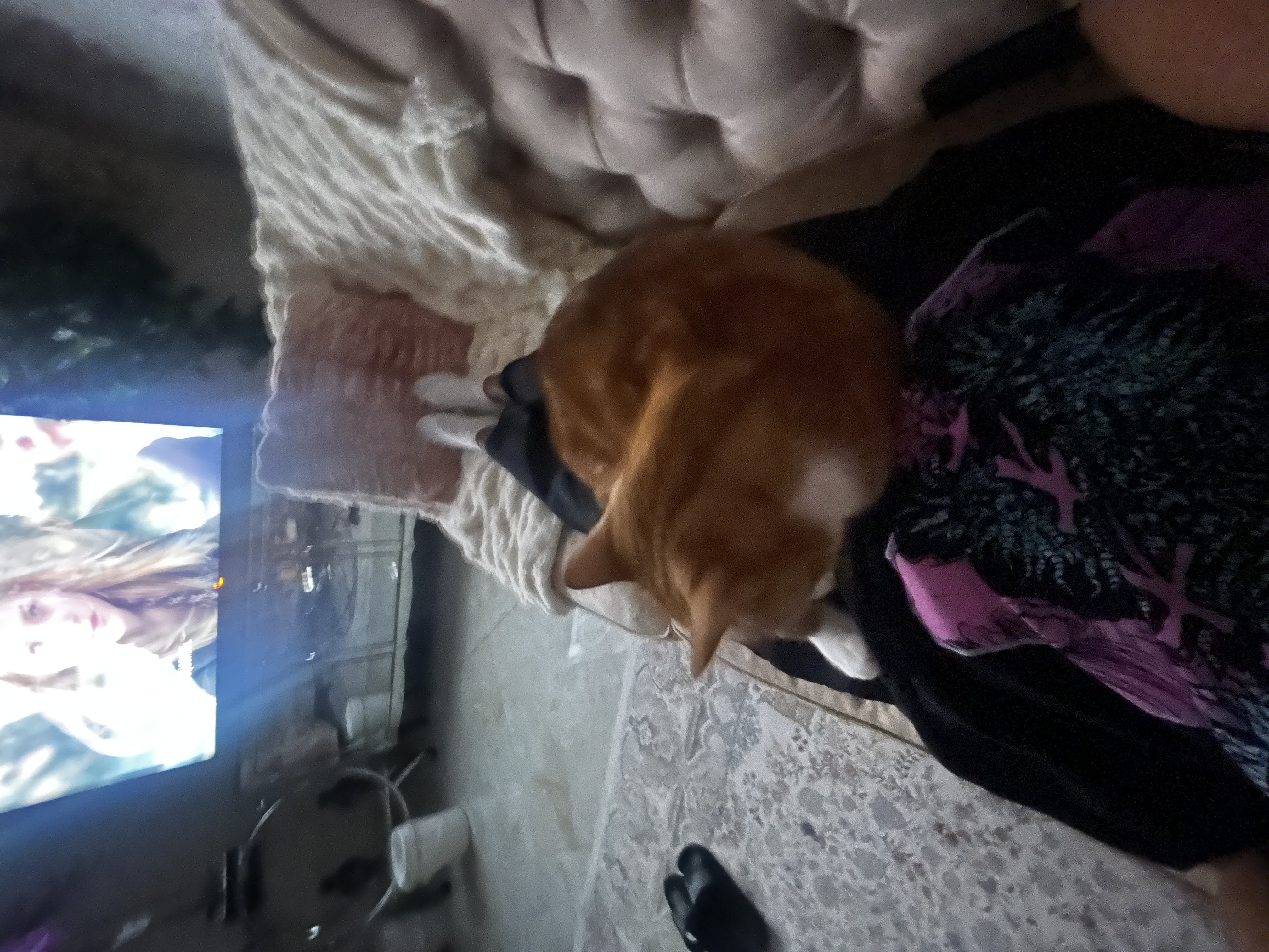 image-7