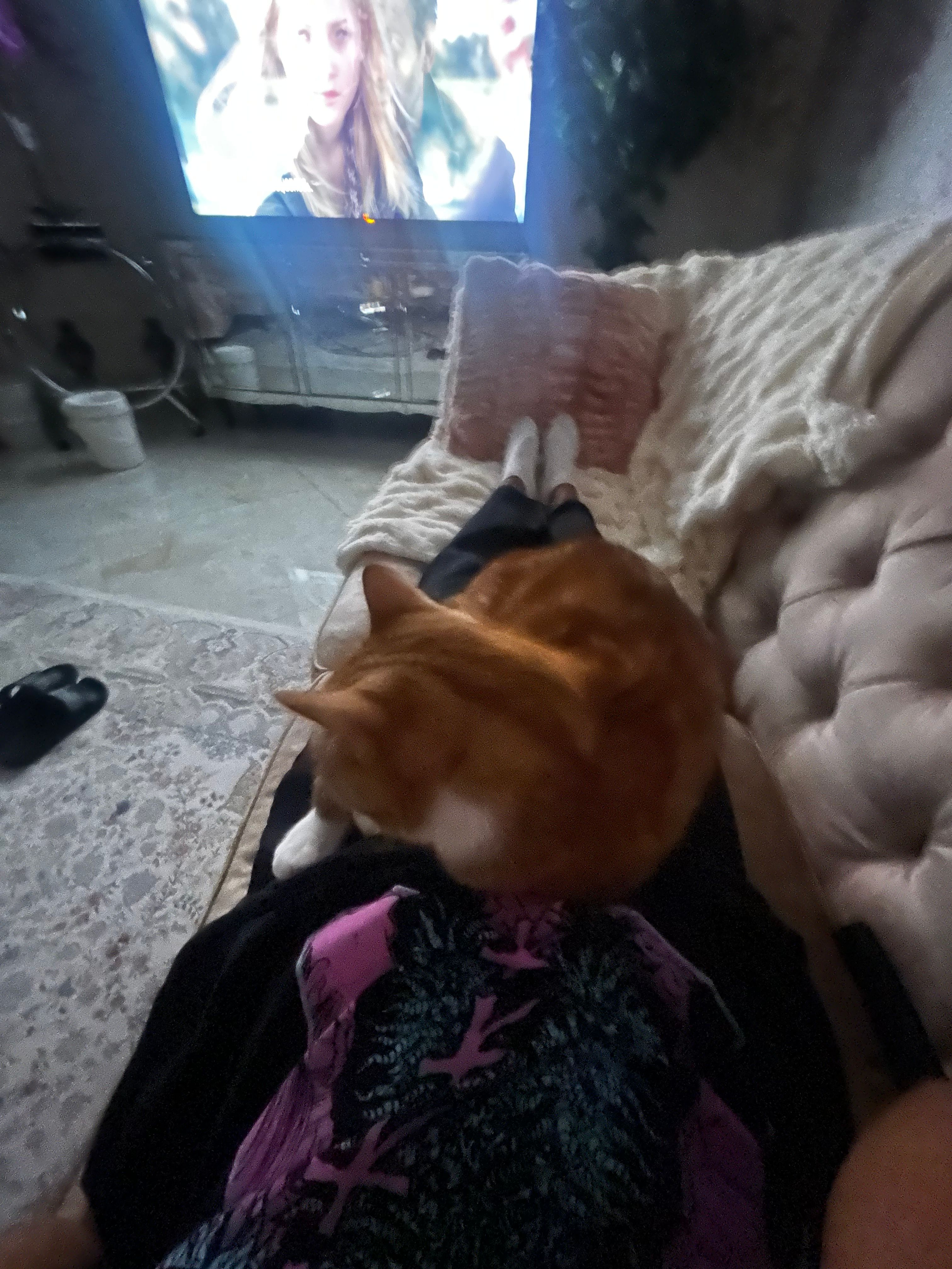 image-7