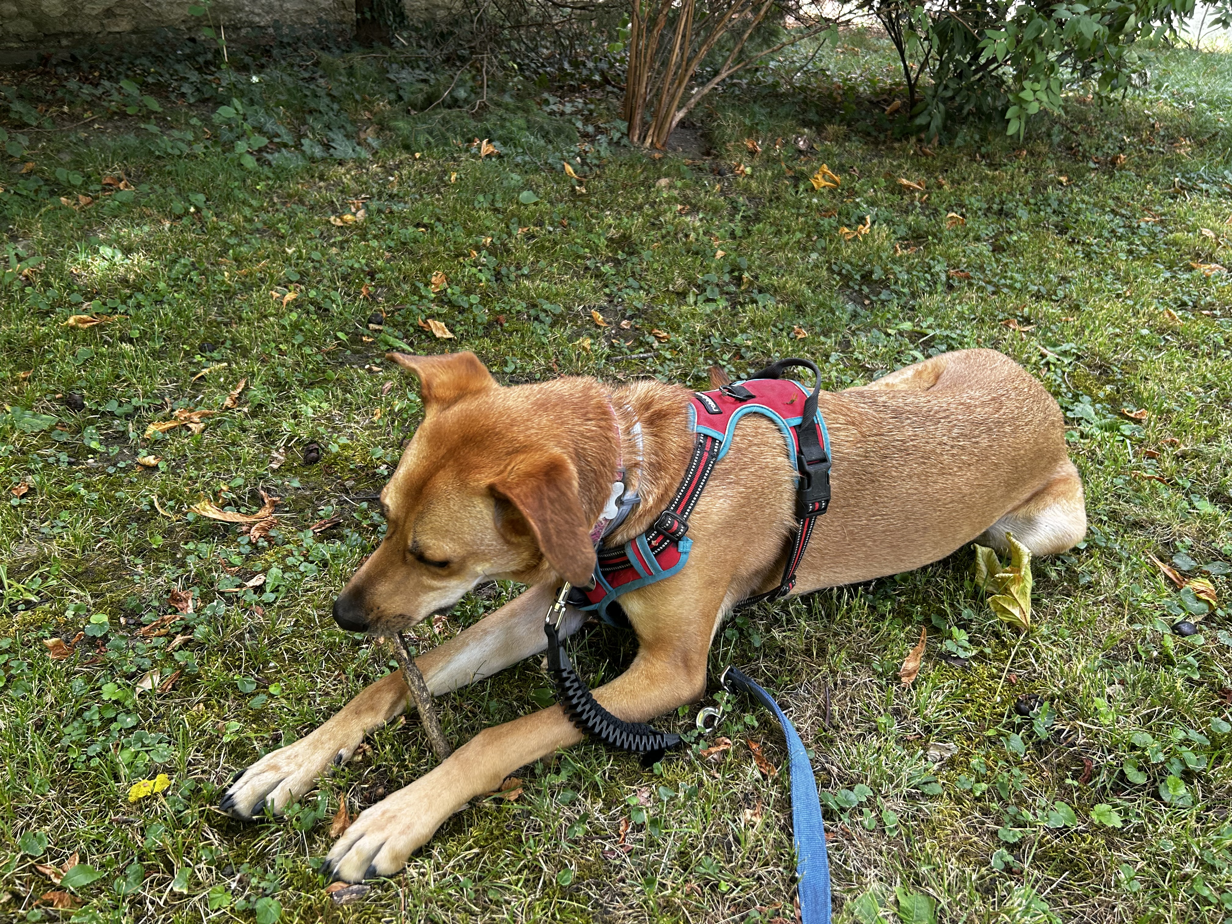 image-8