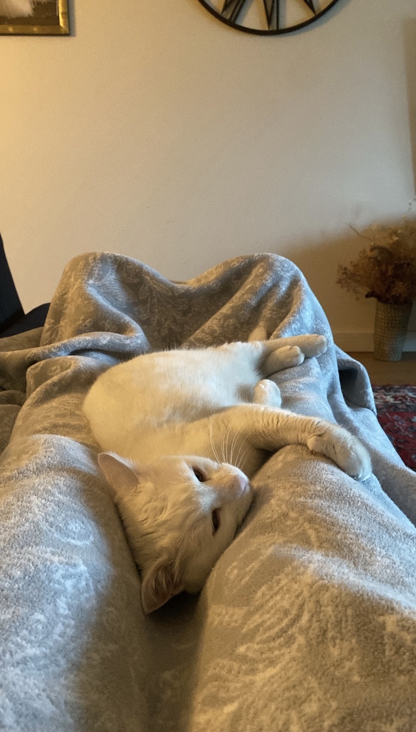 image-8