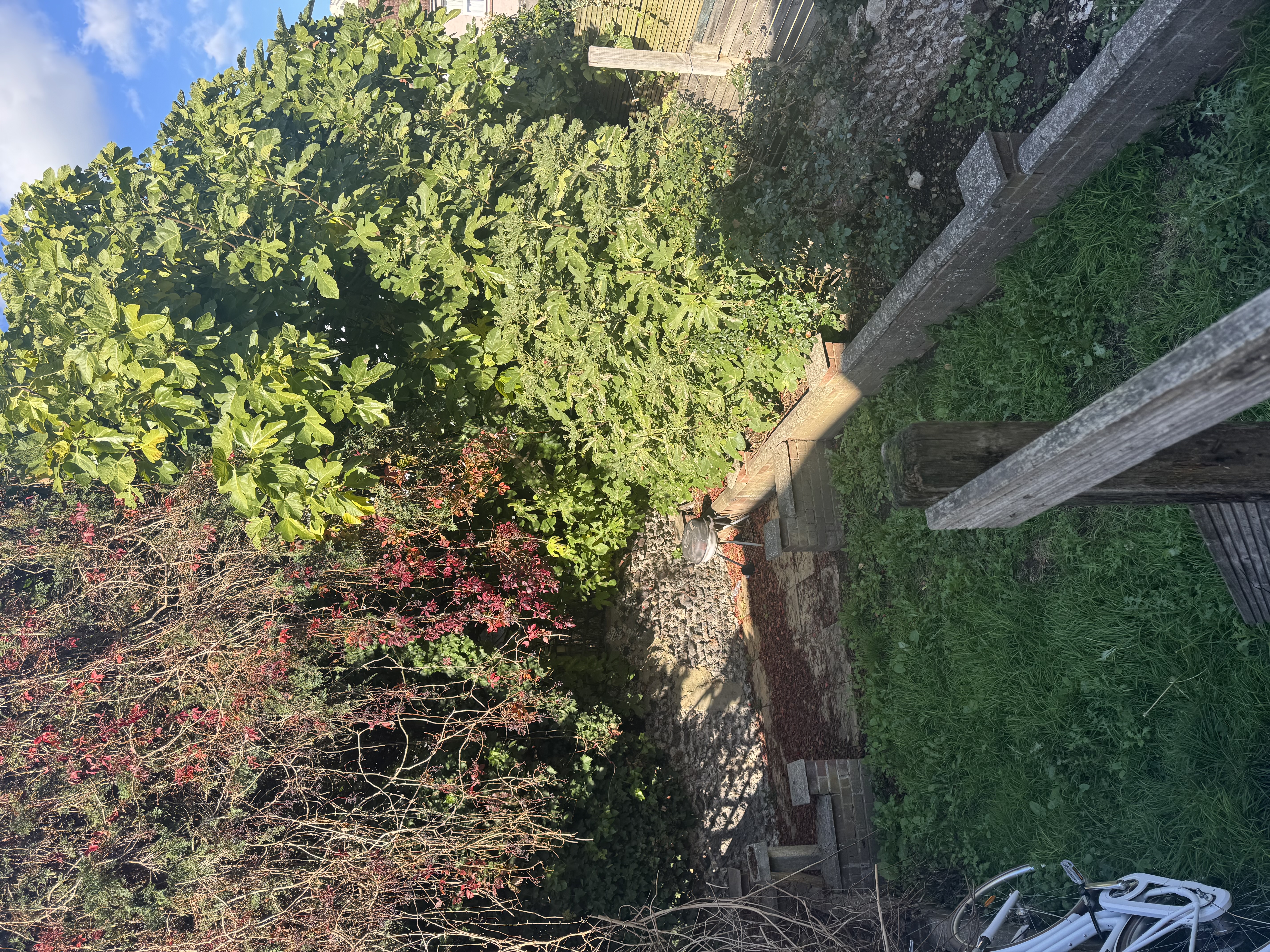 image-13