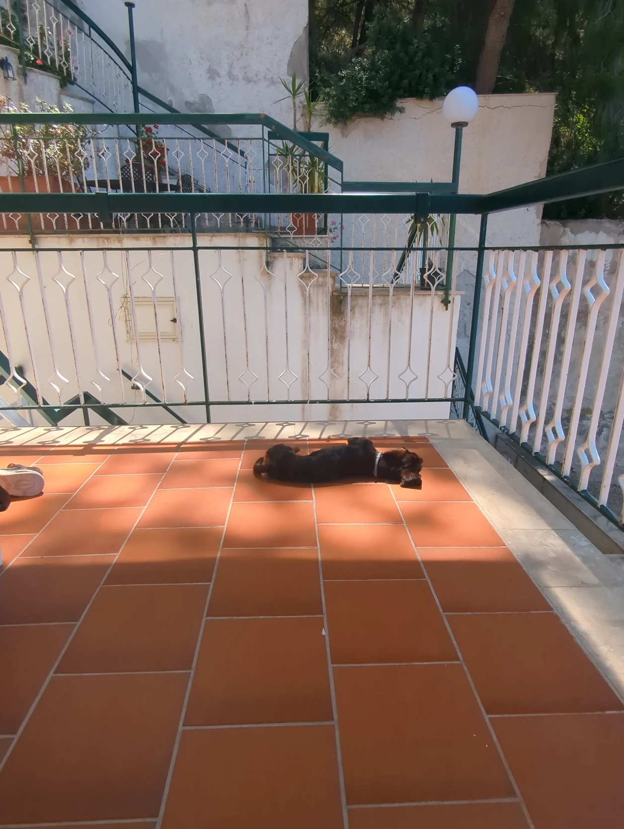 image-13
