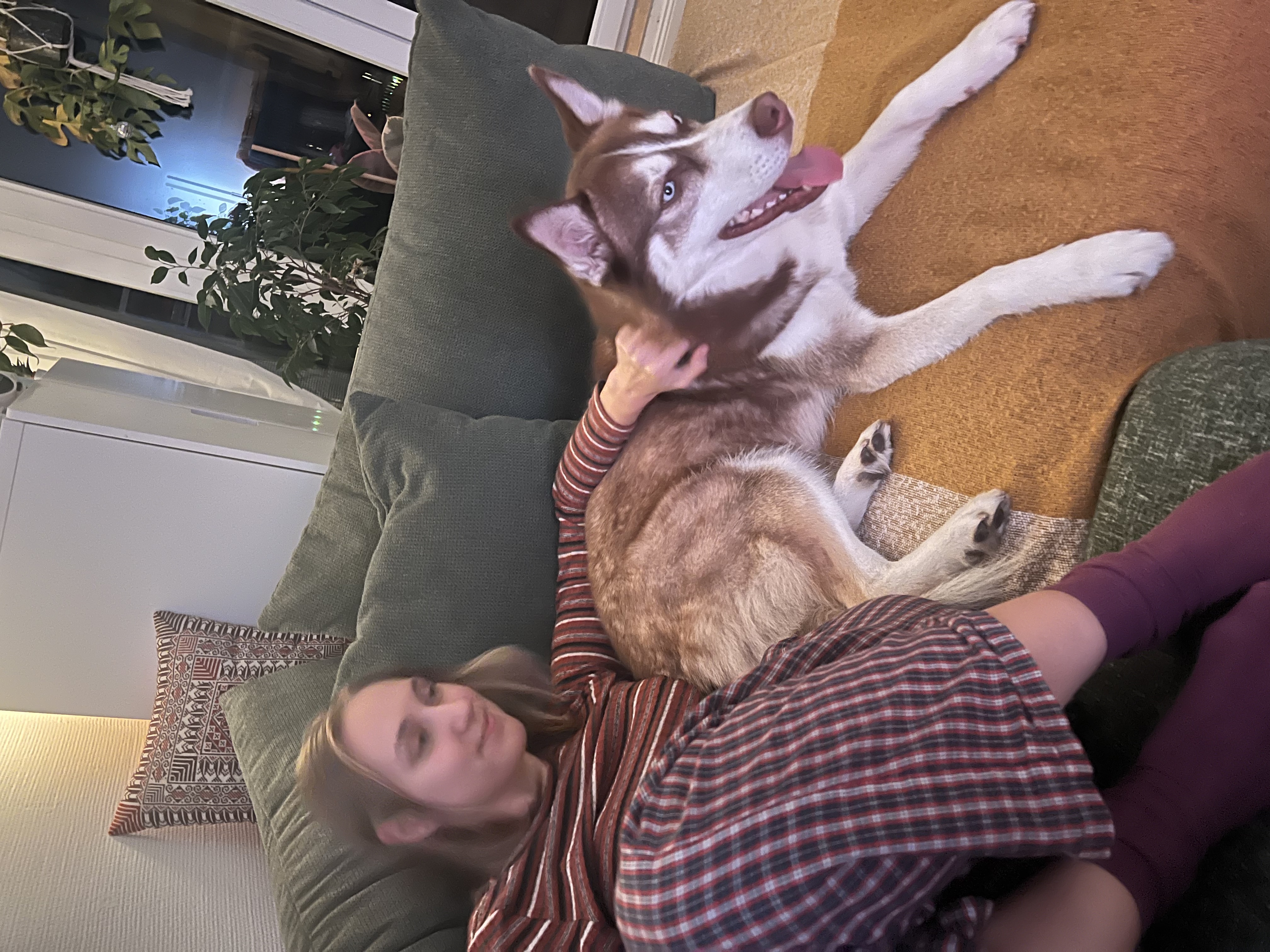 image-6