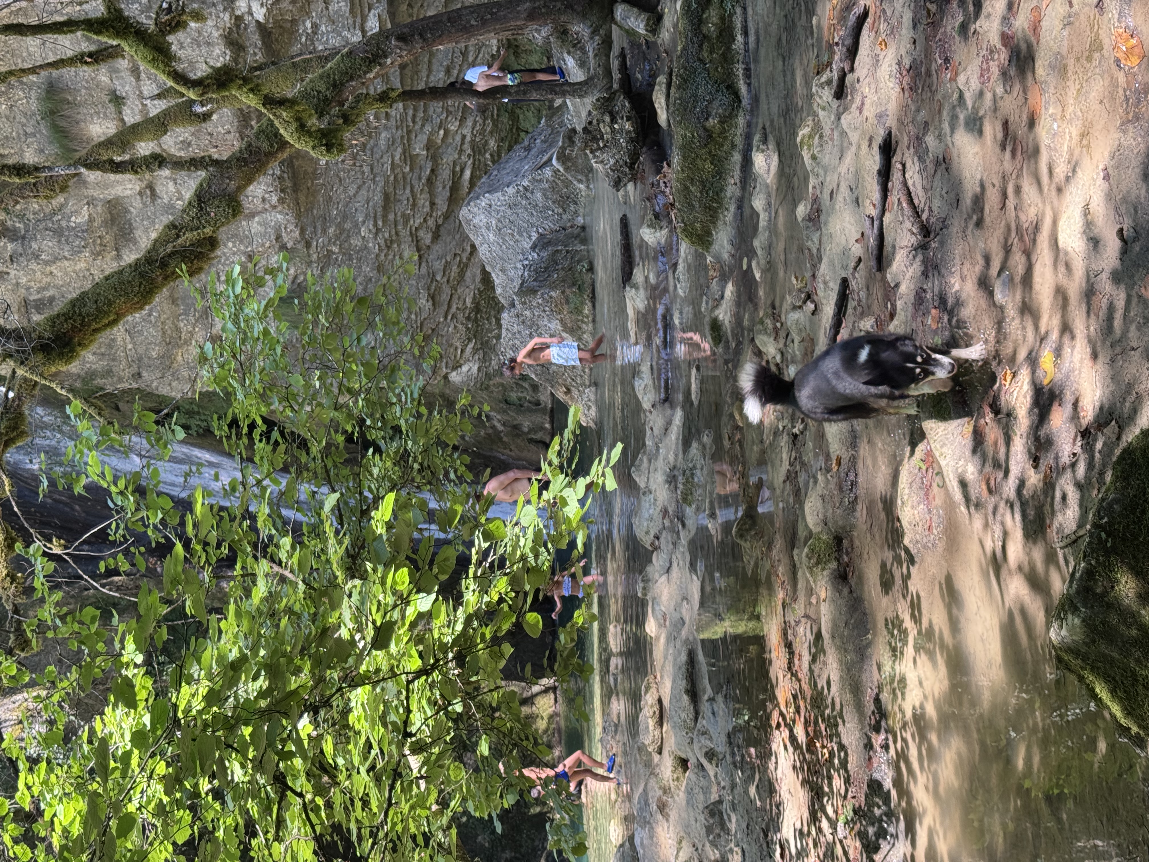 image-7
