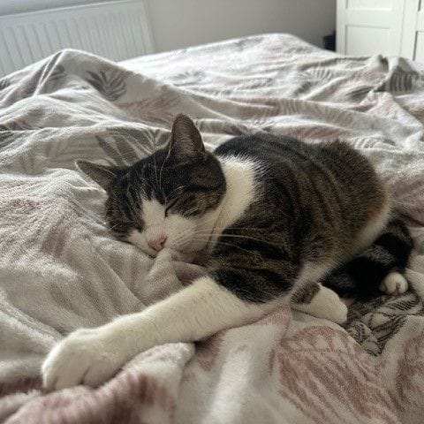 Charlie