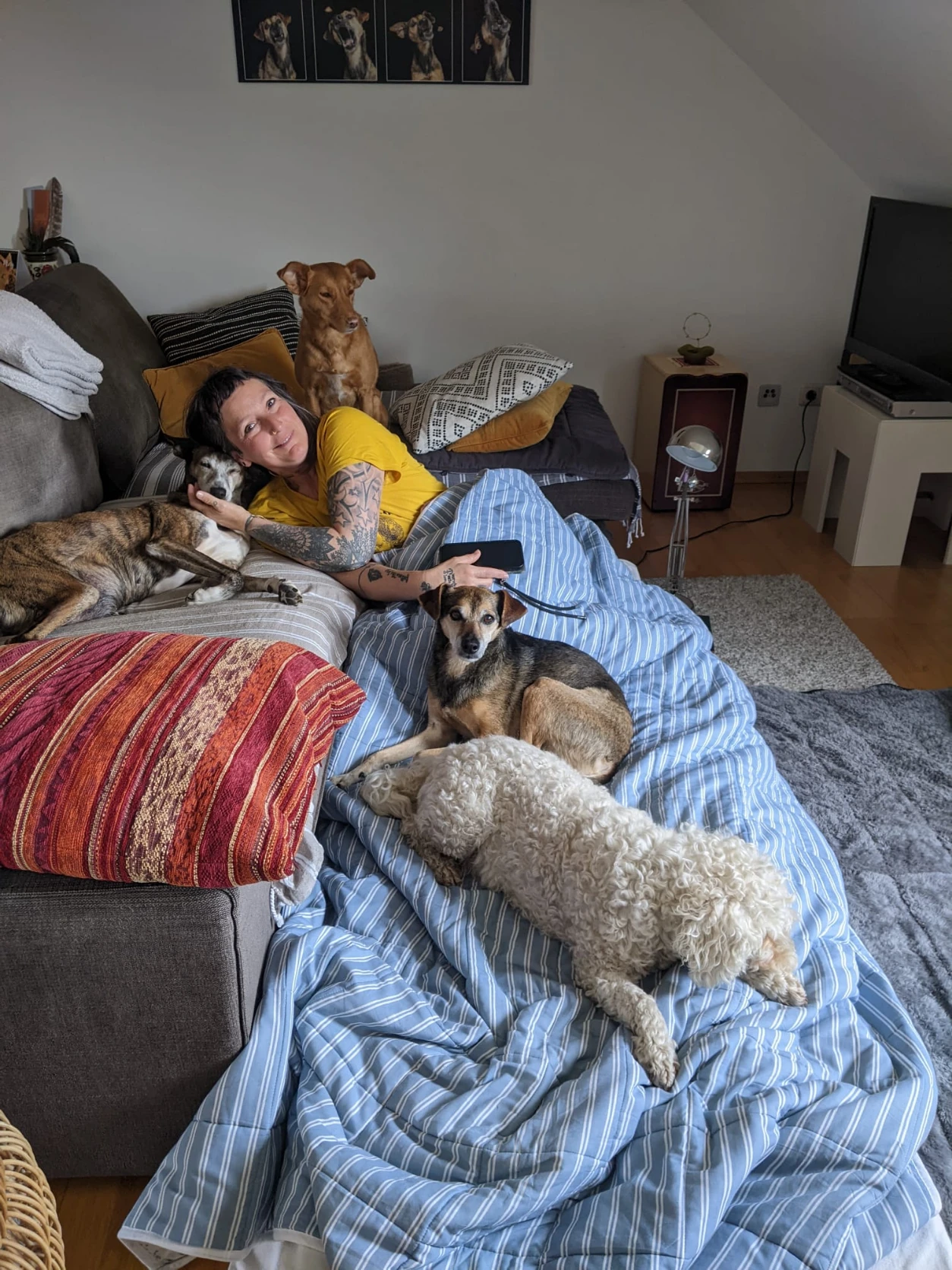 image-7