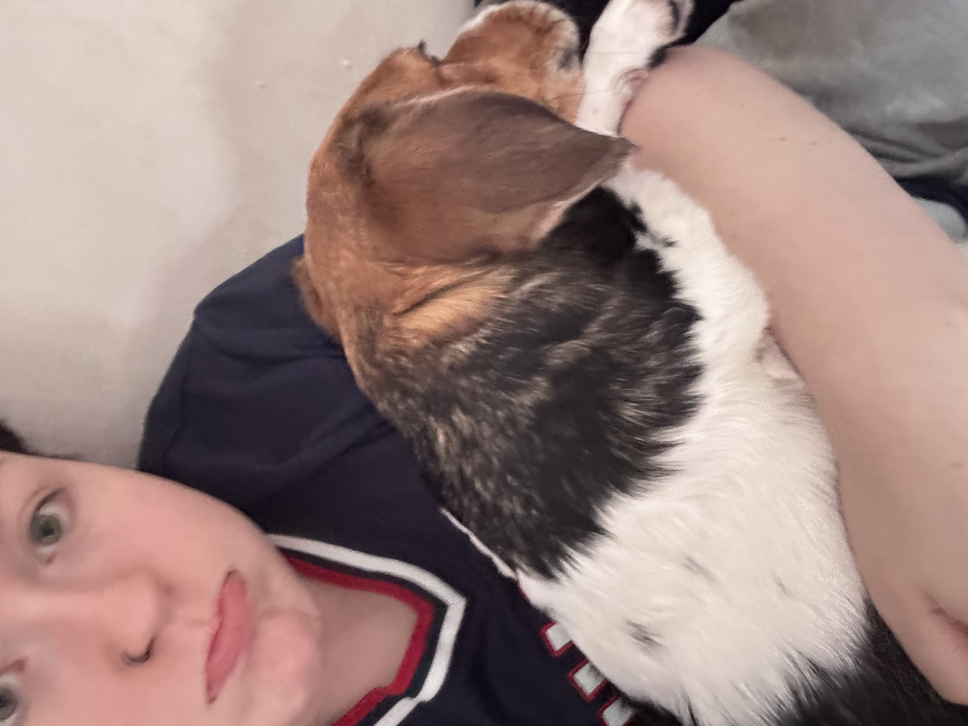 image-7