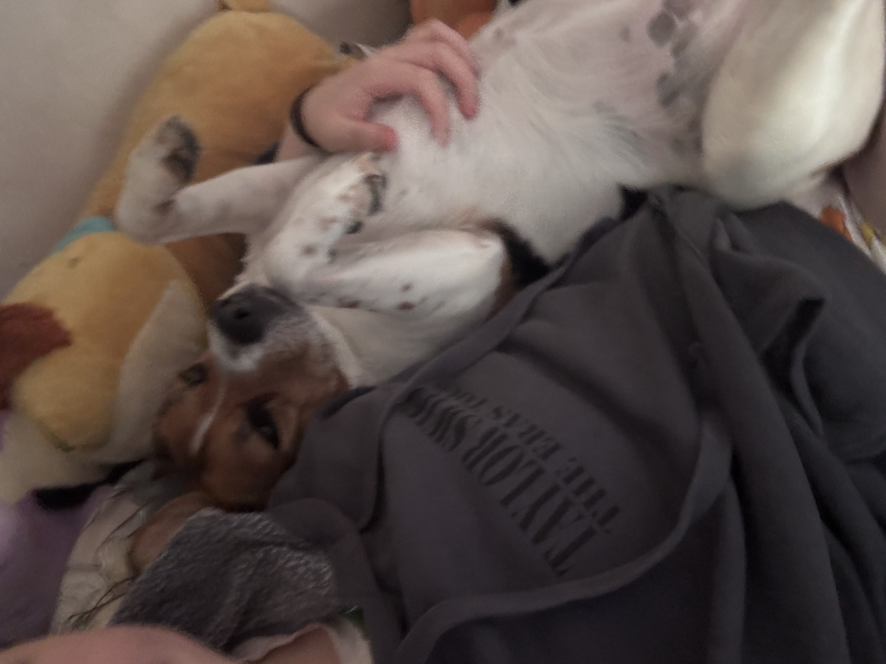 image-8