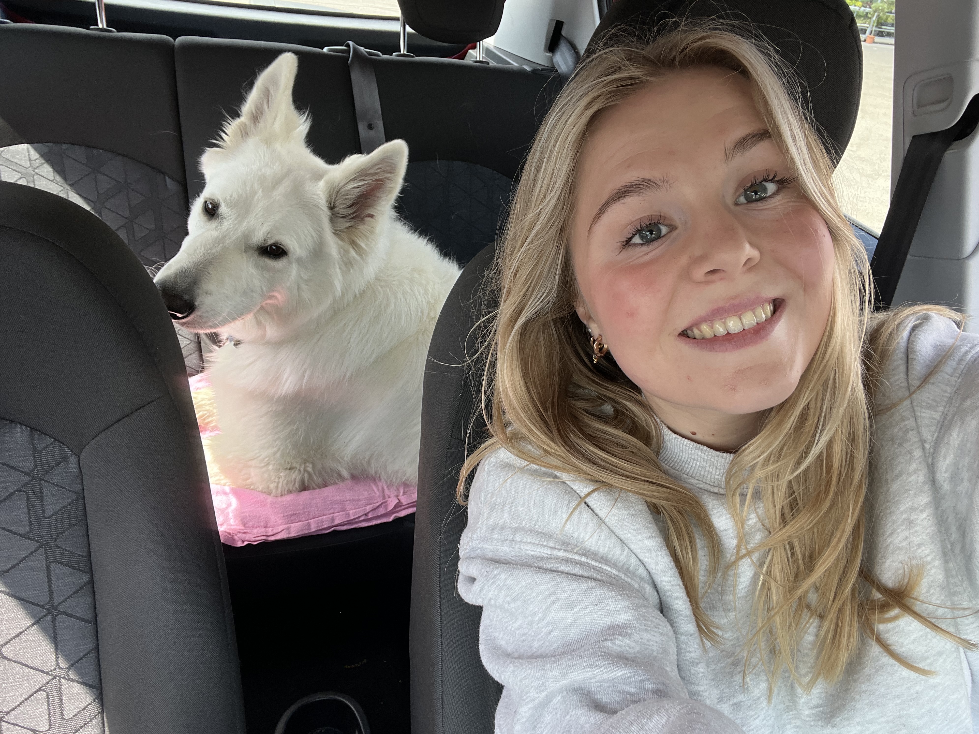 image-3
