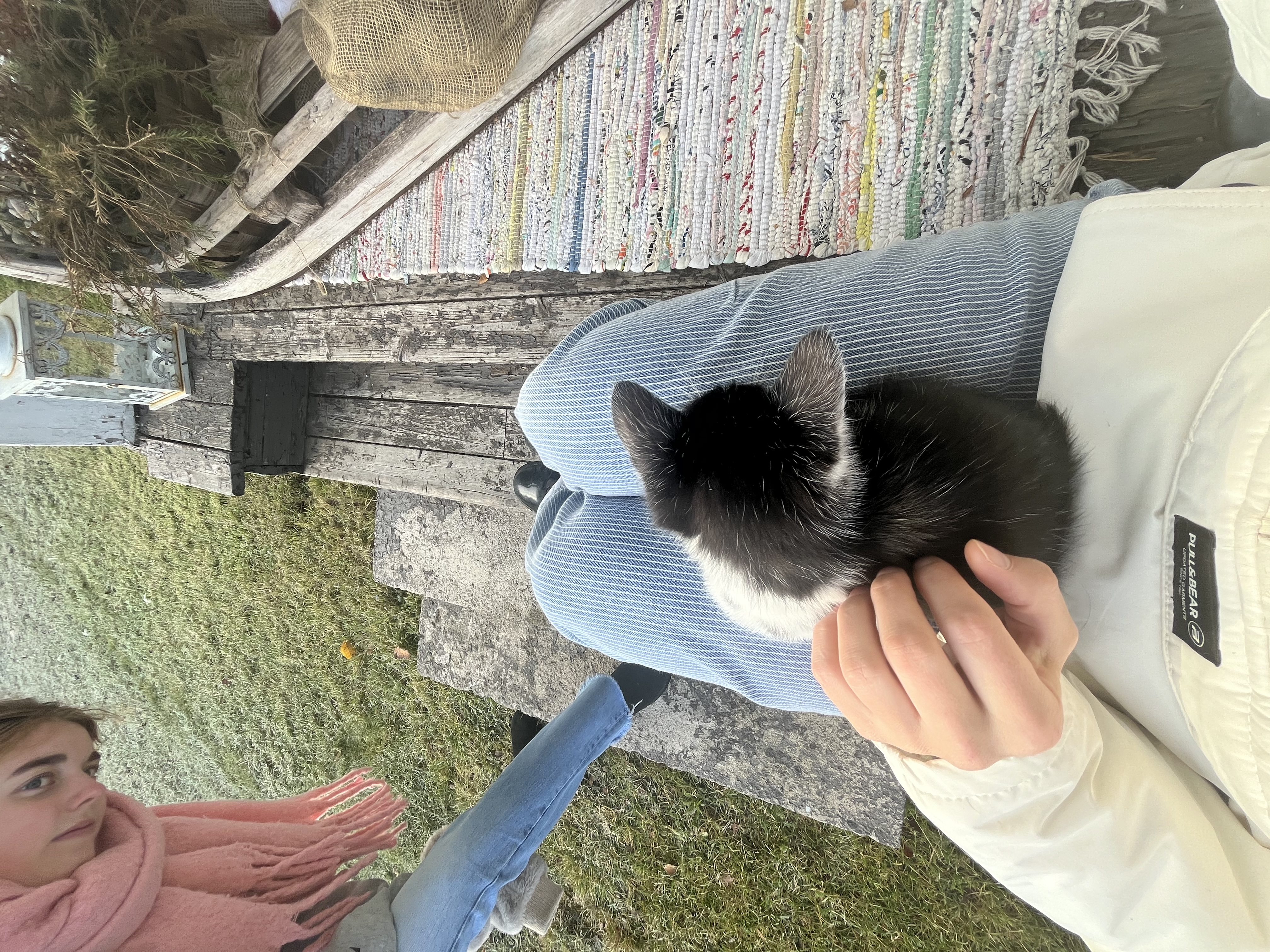 image-8
