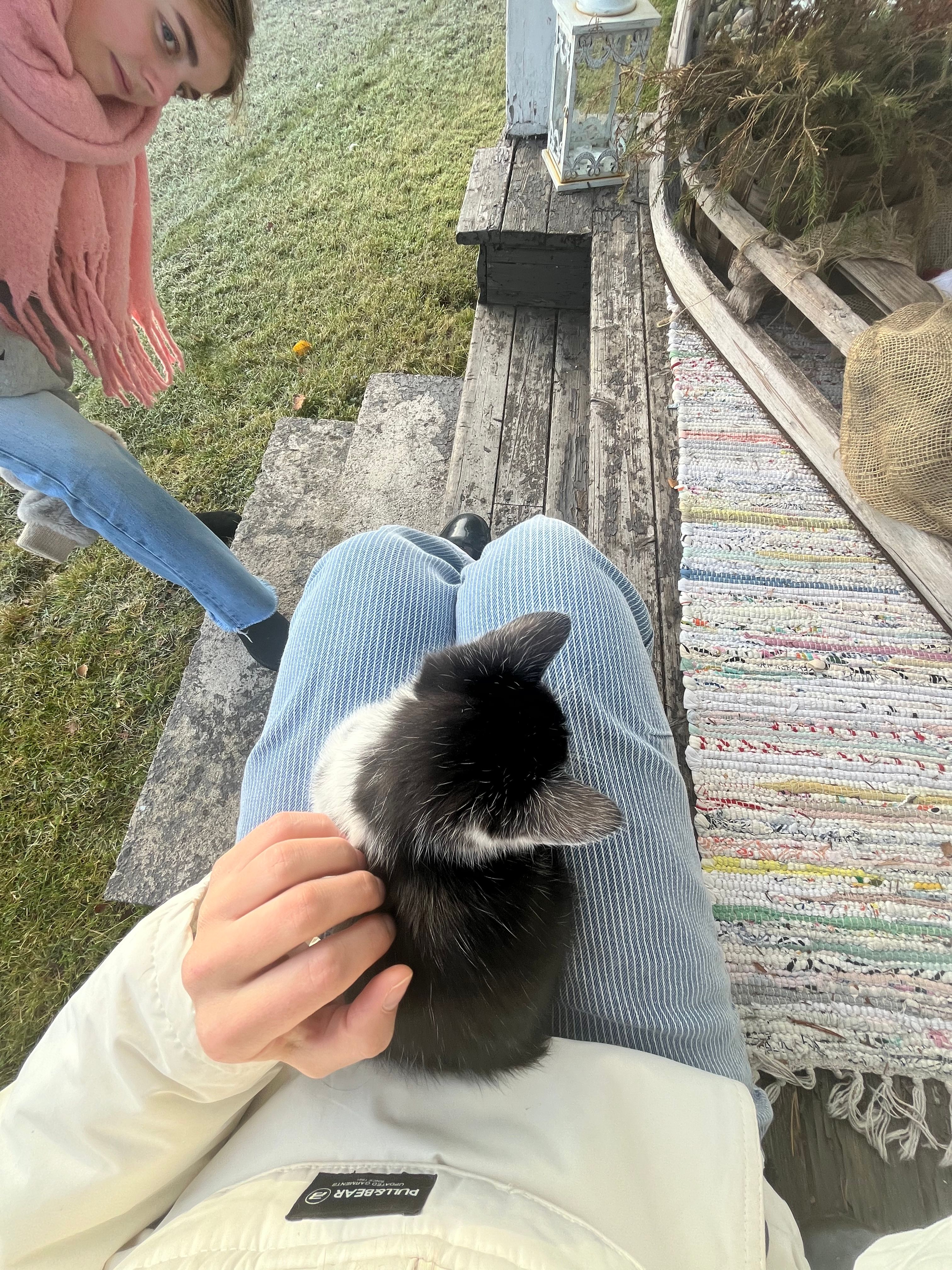 image-8