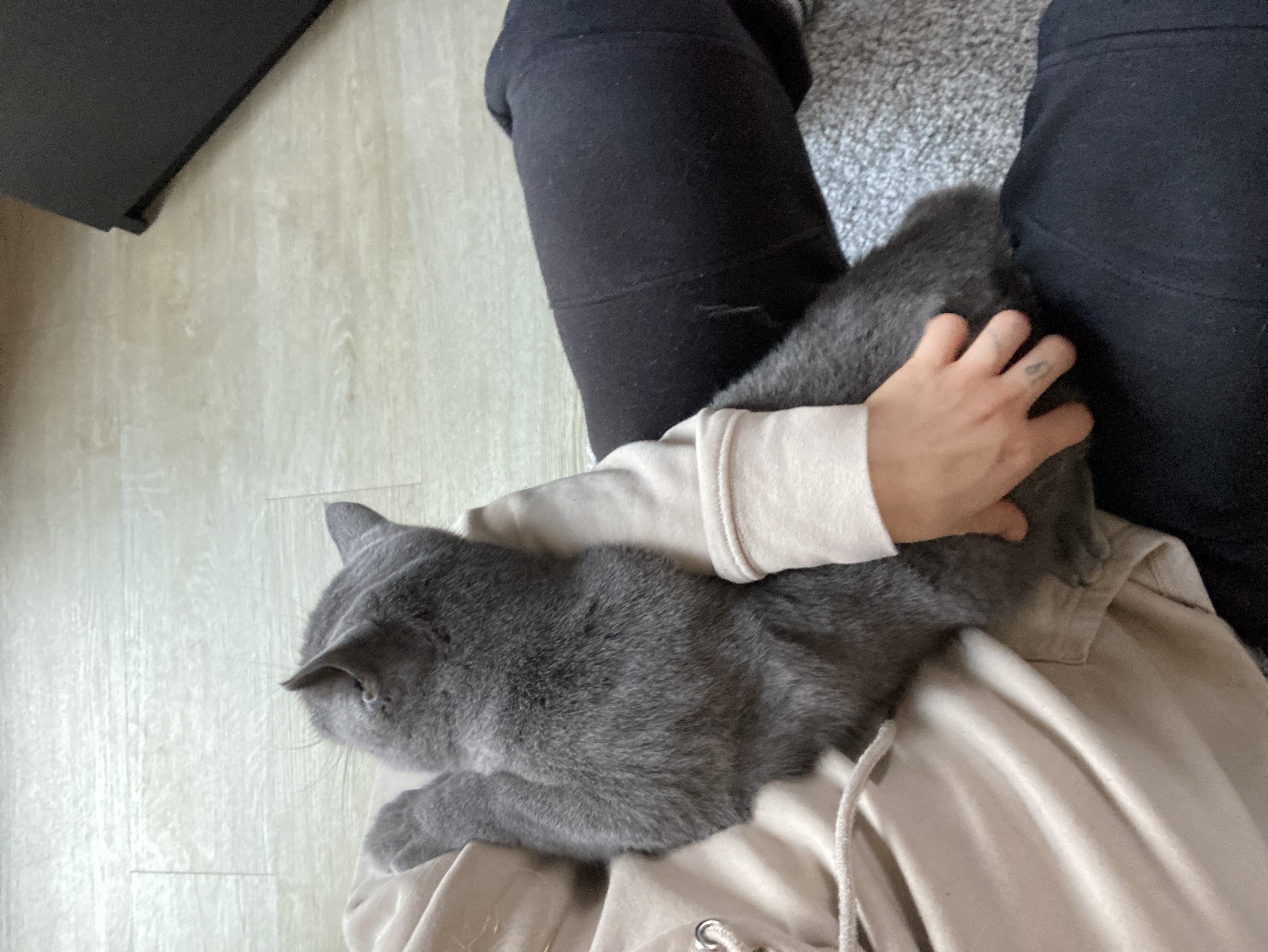 image-9