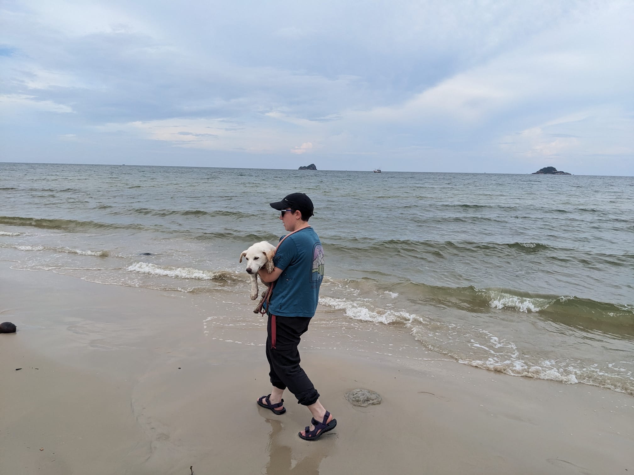 image-17