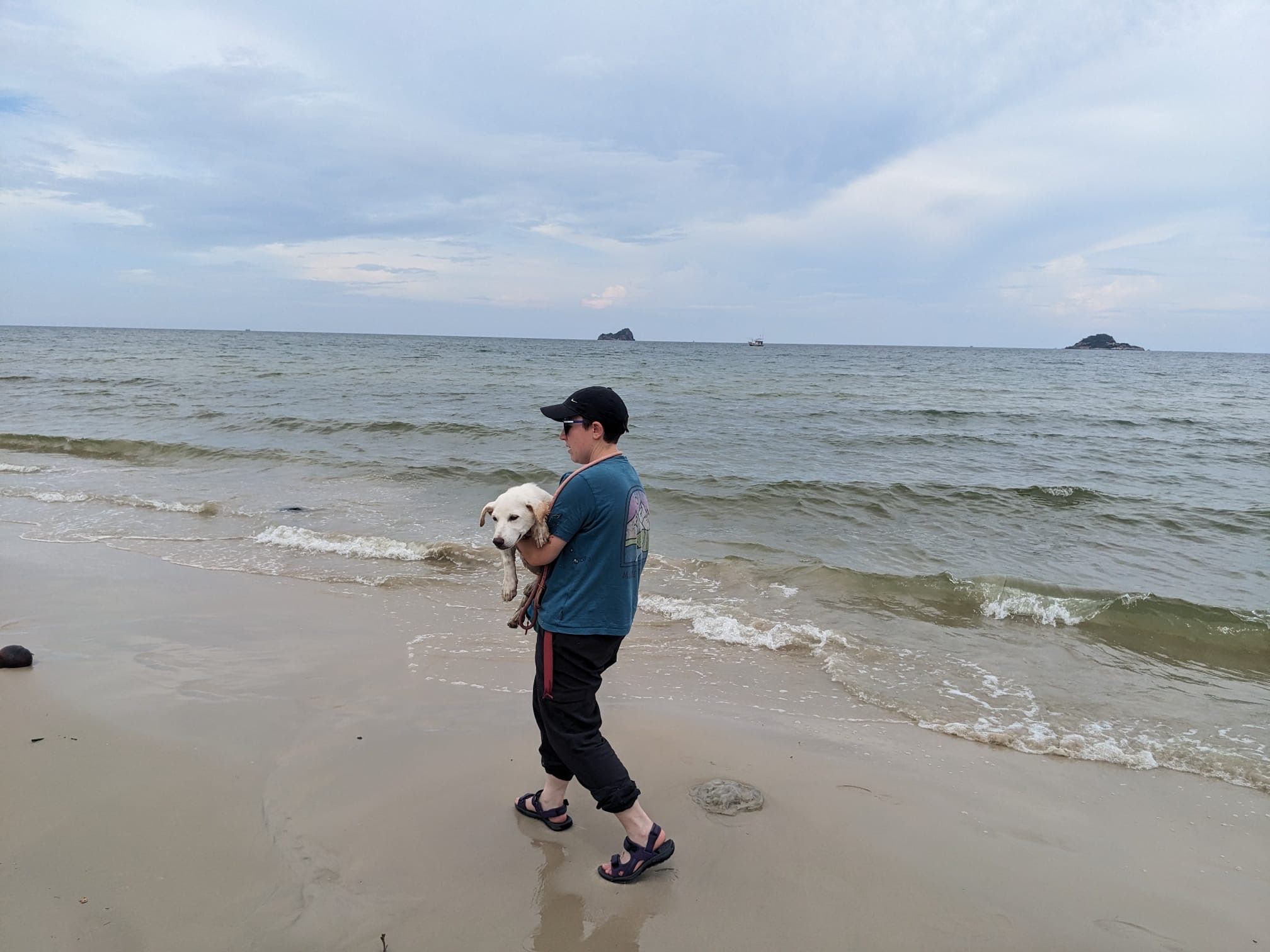image-17