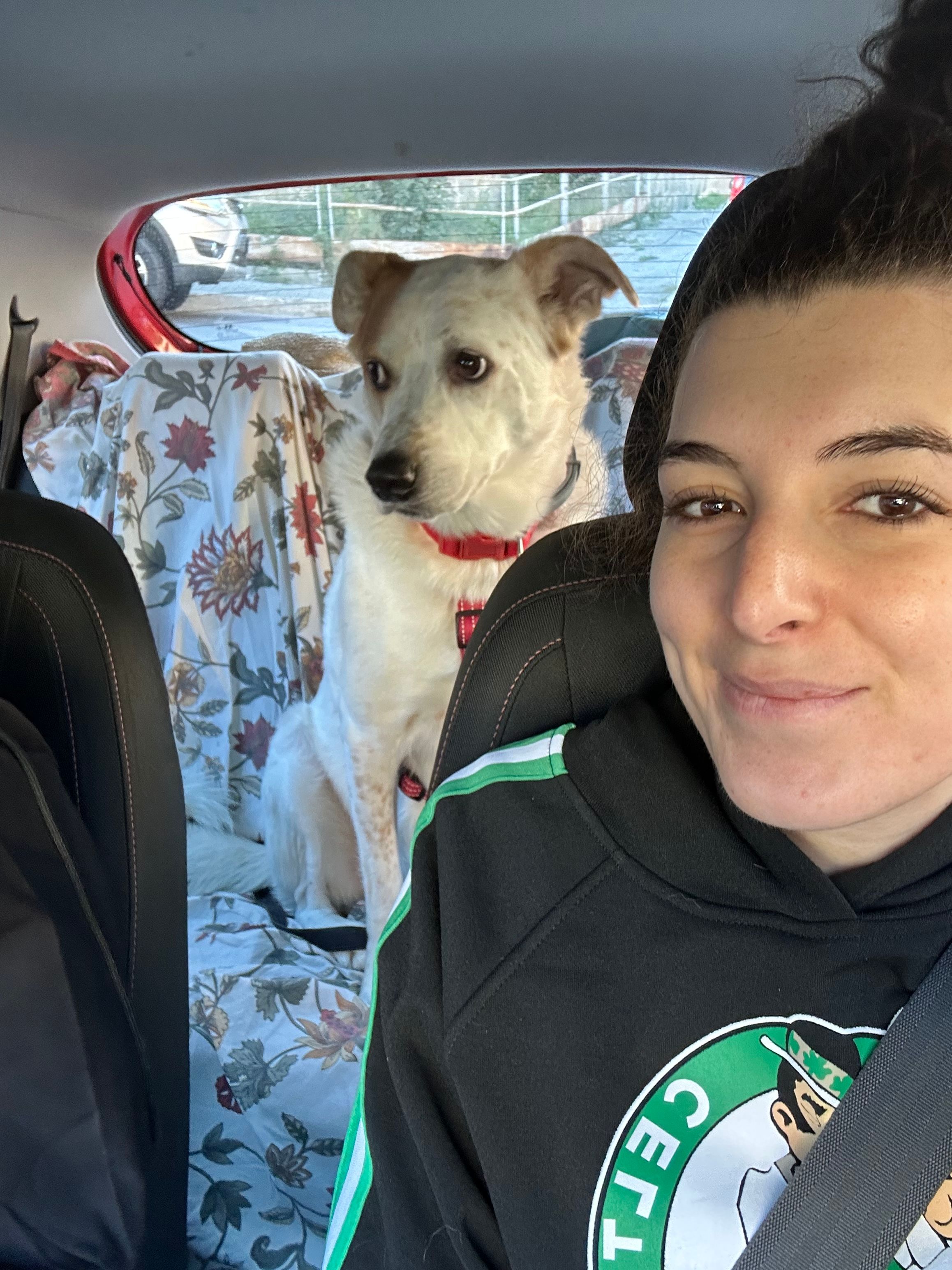 image-4