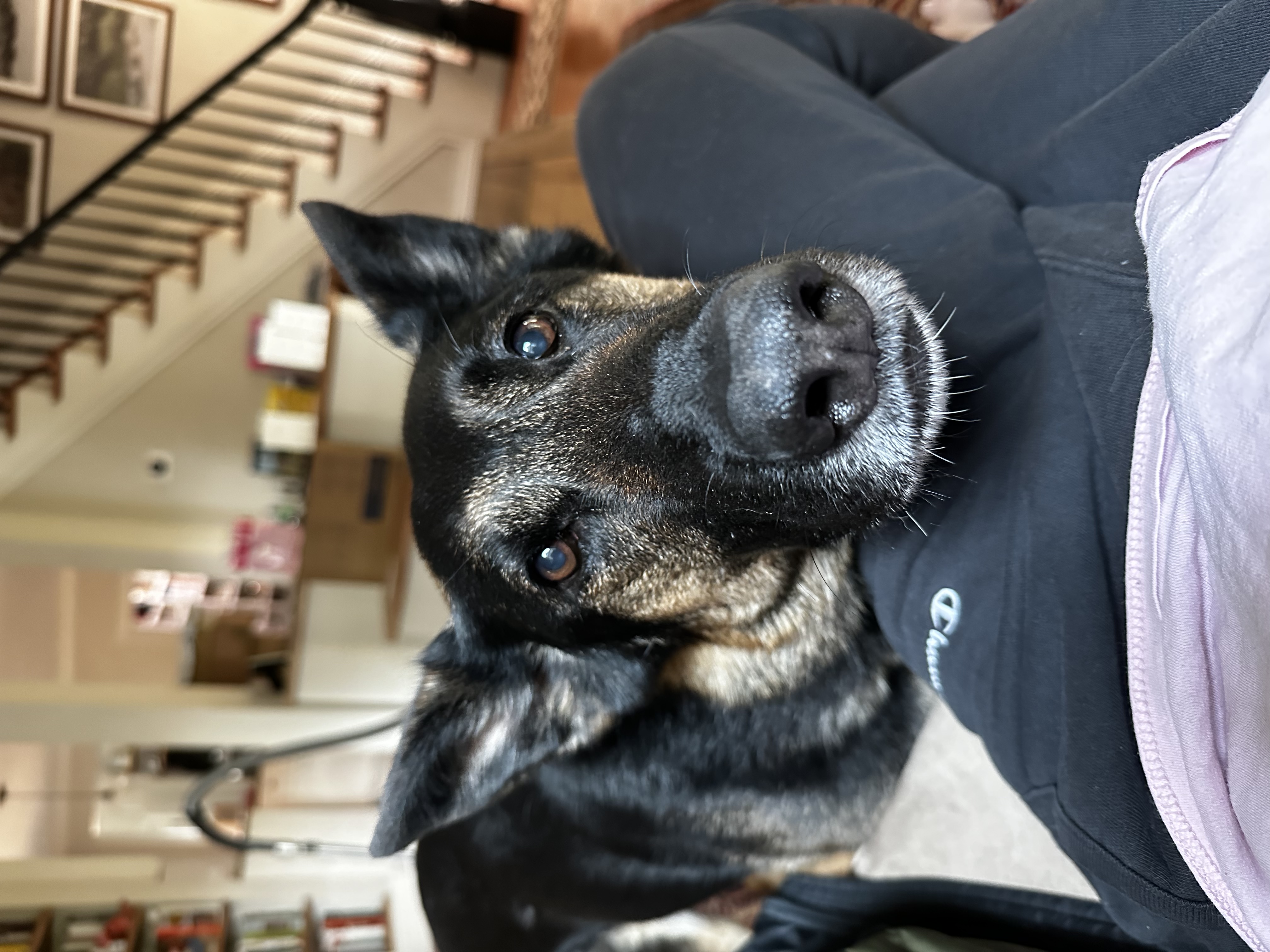 image-6