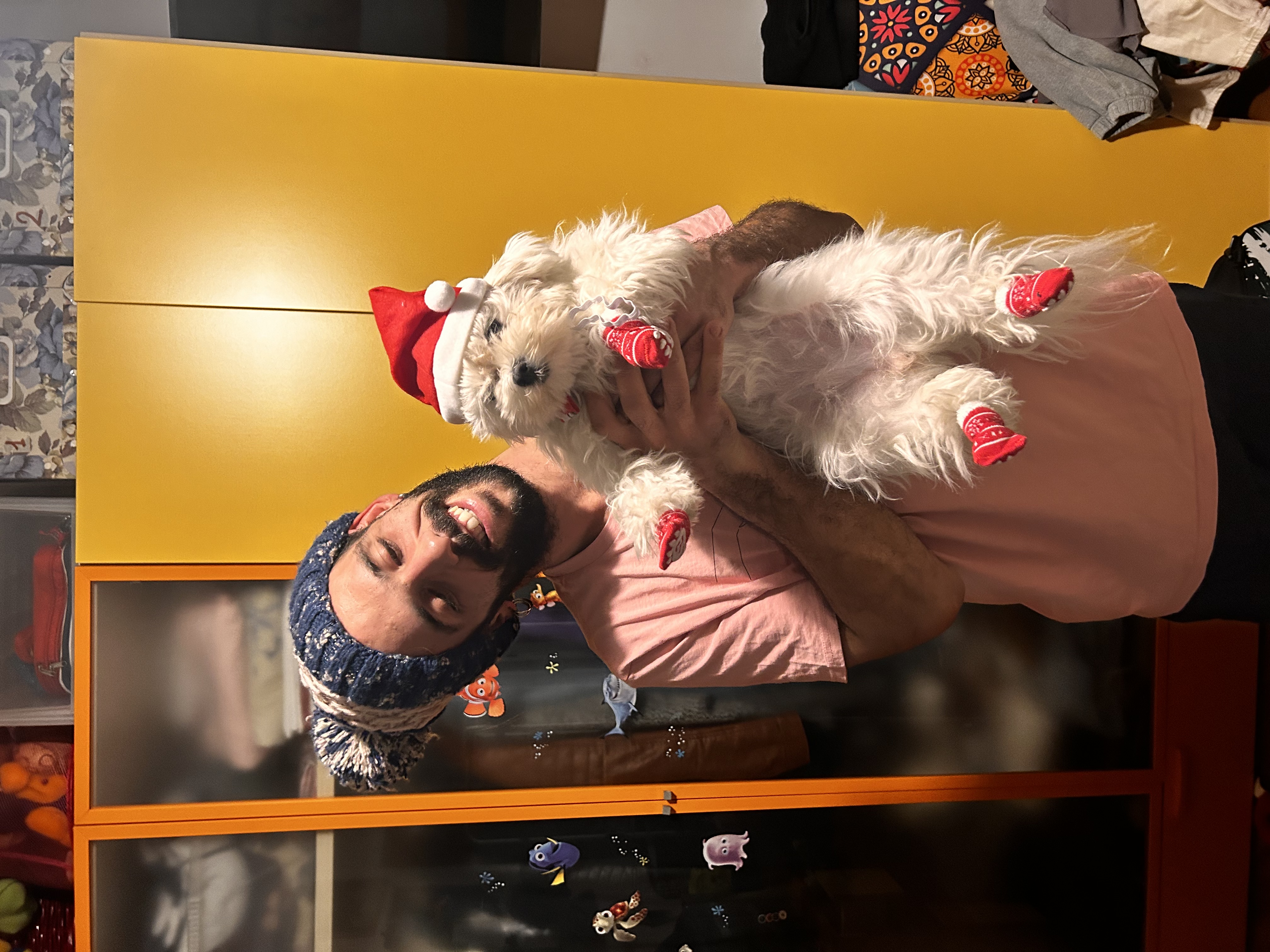 image-6