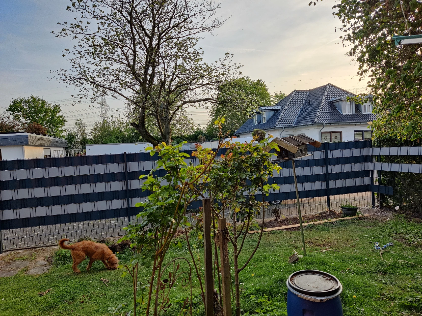 image-16