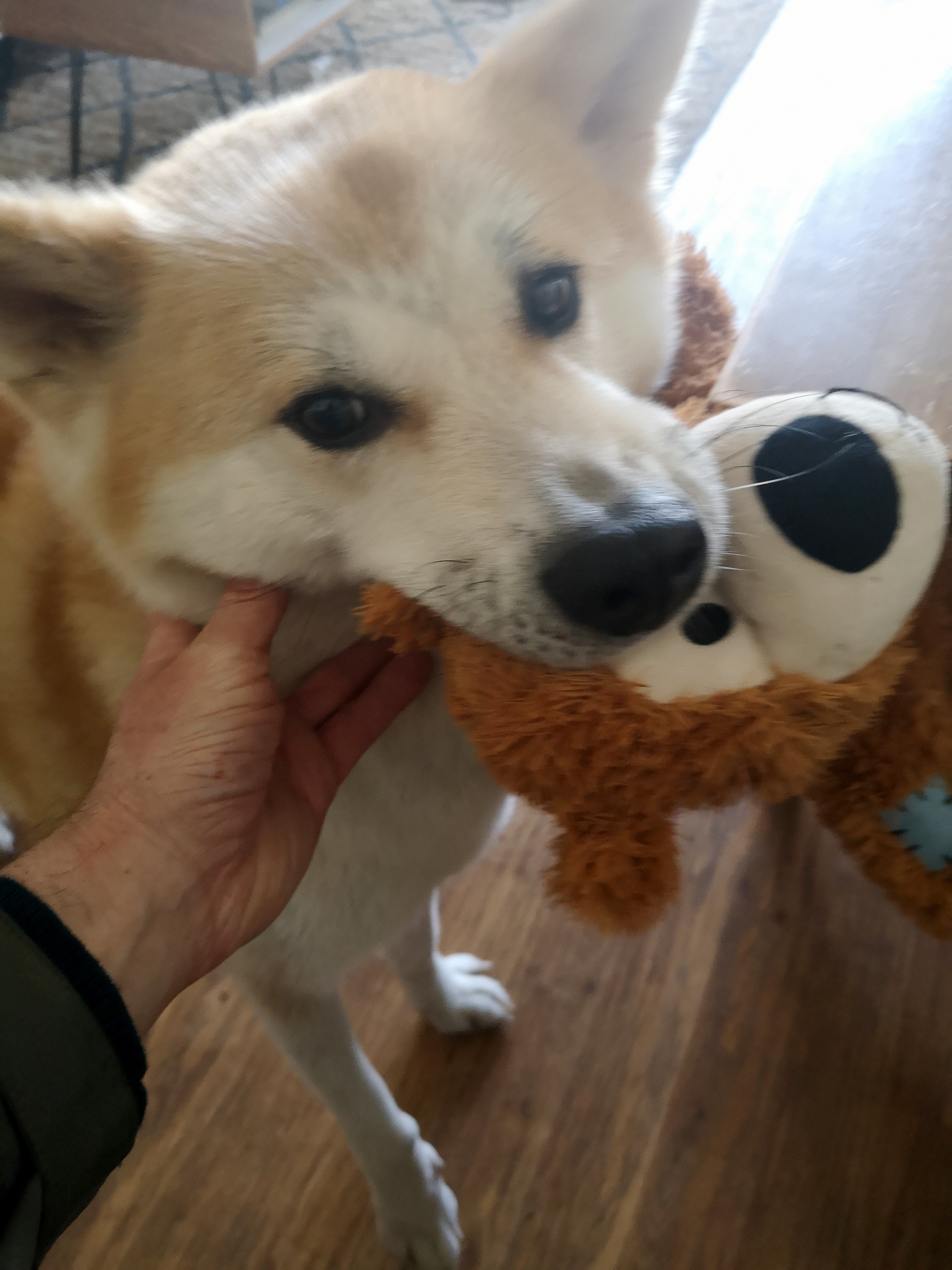 image-8