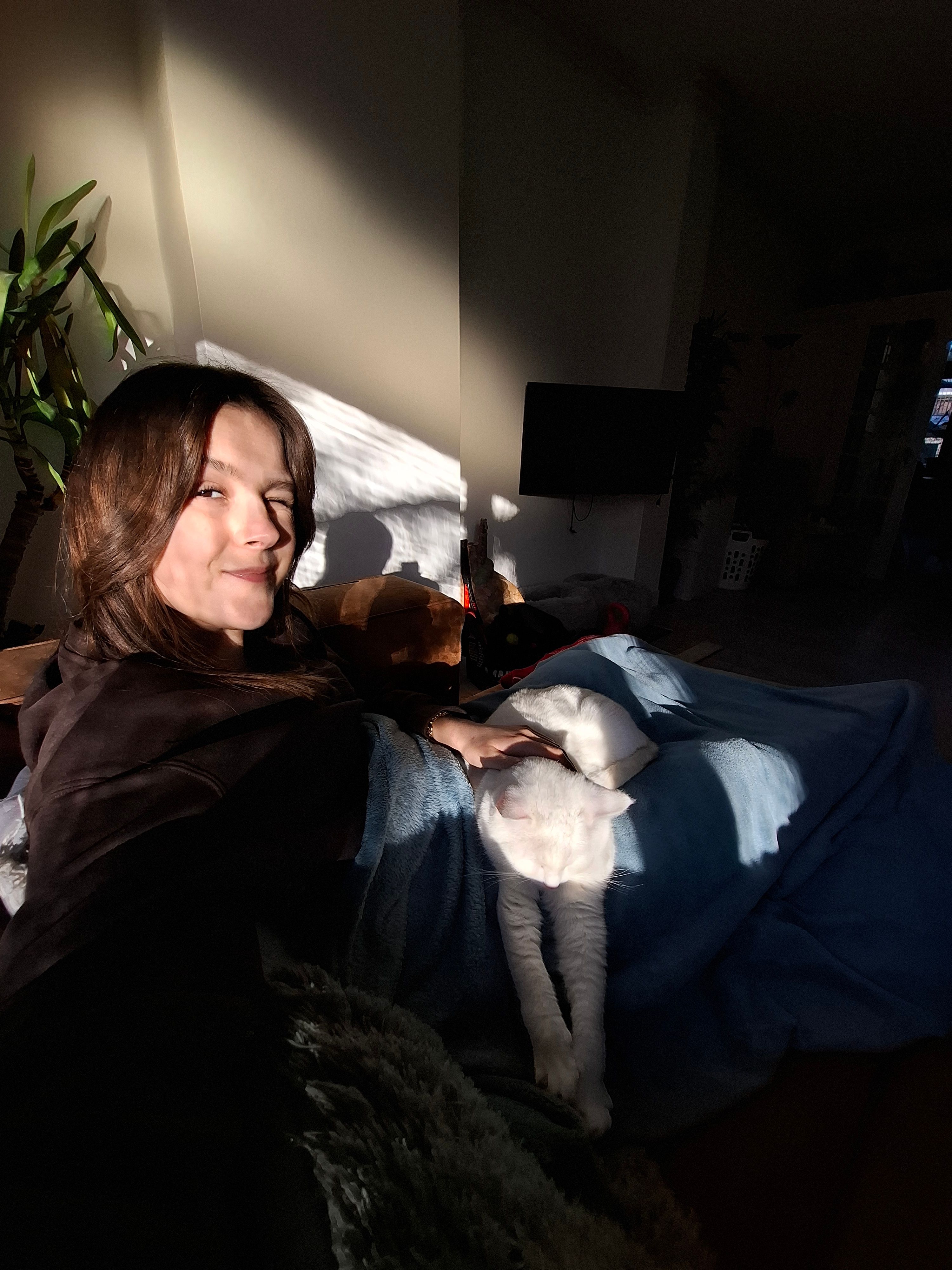 image-7