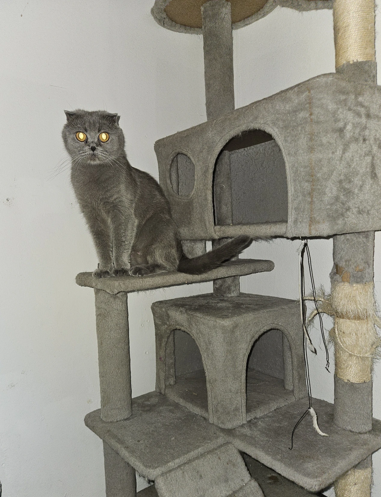 image-9