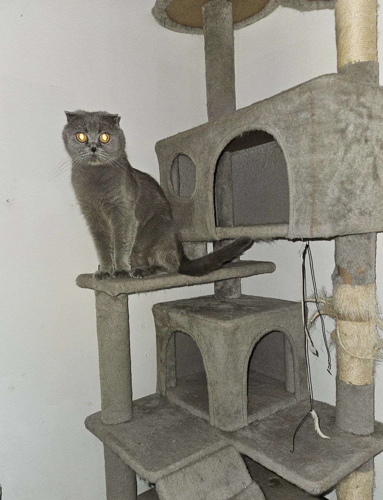 image-9