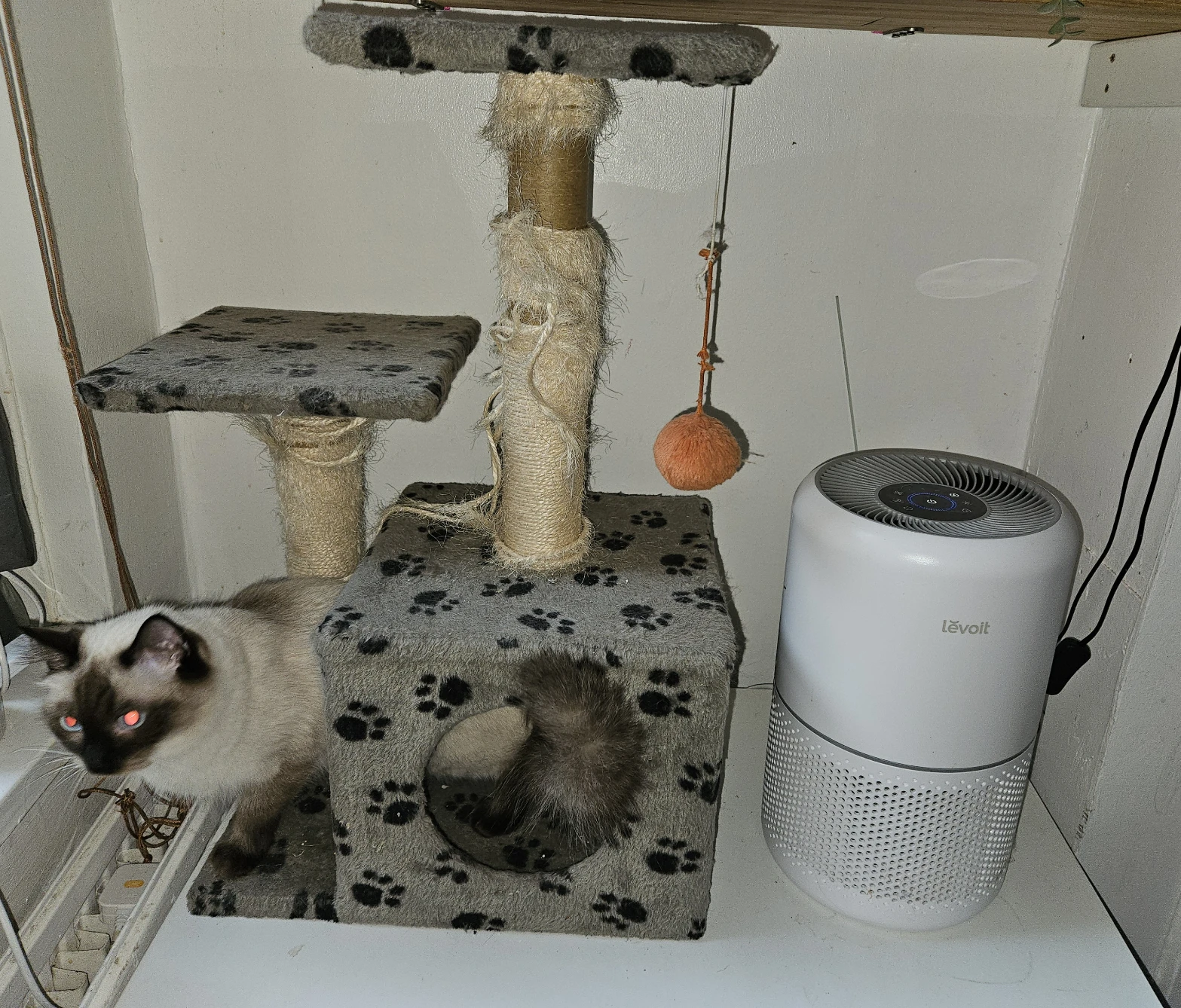 image-10