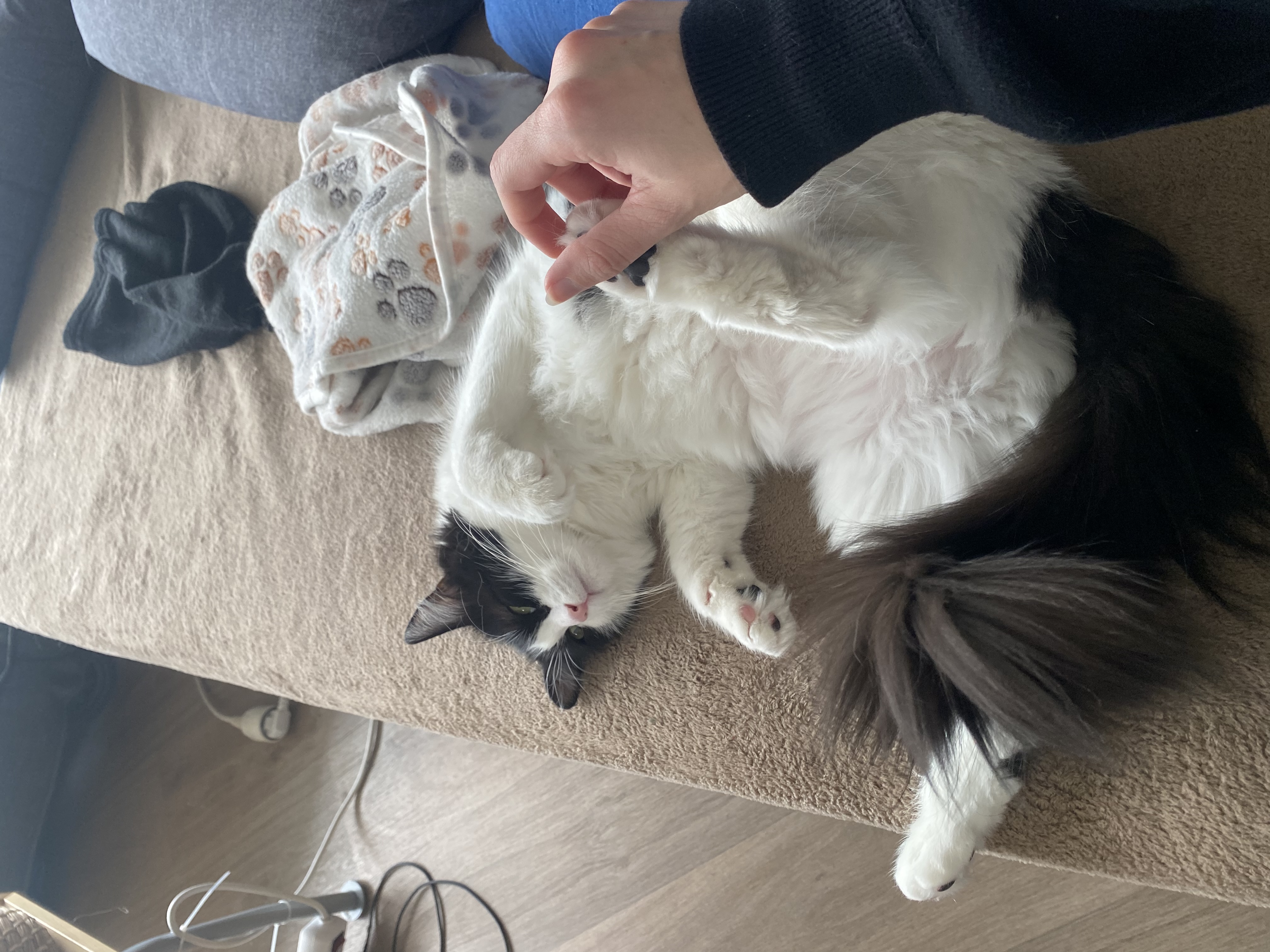 image-16