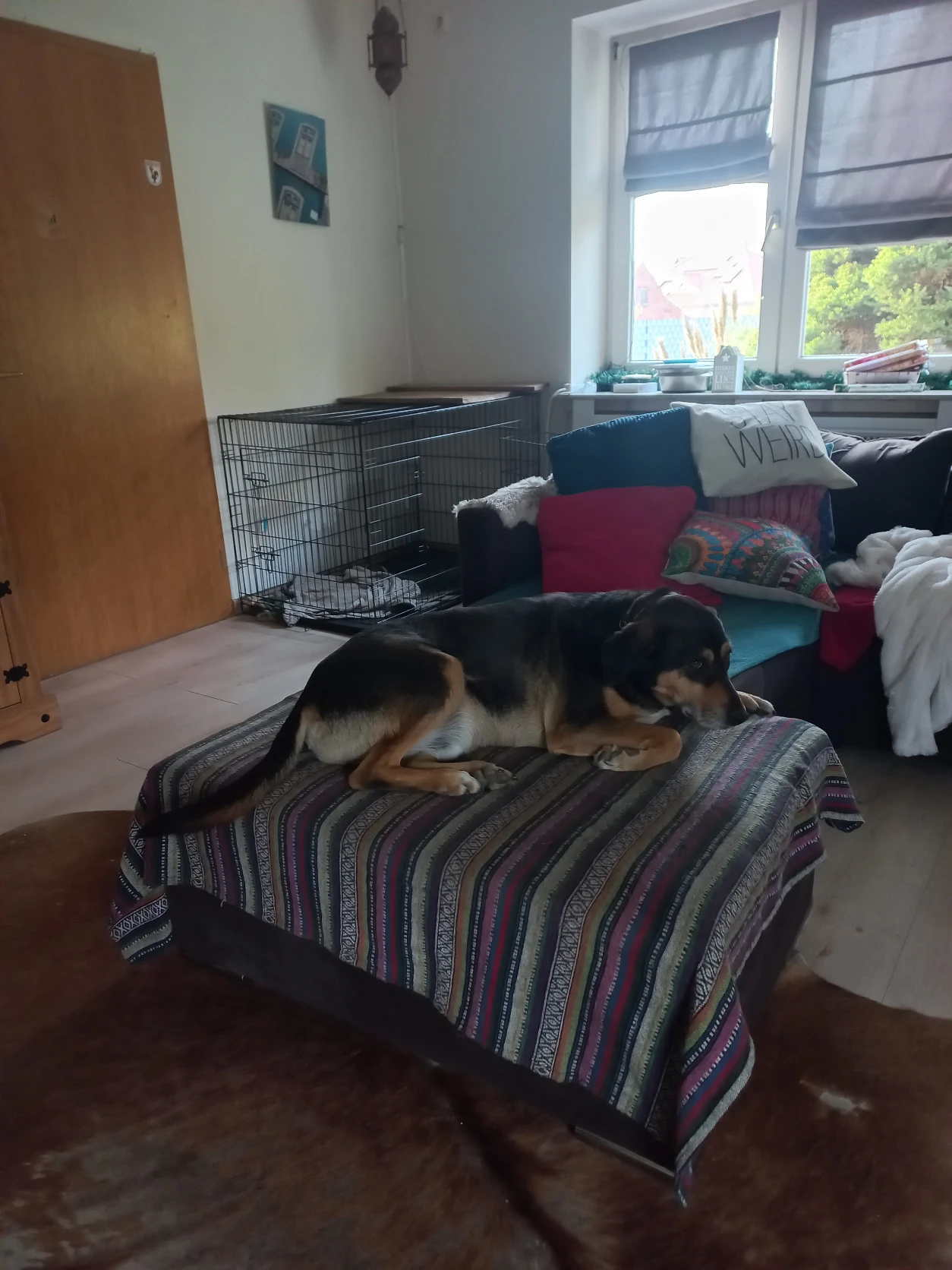 image-10