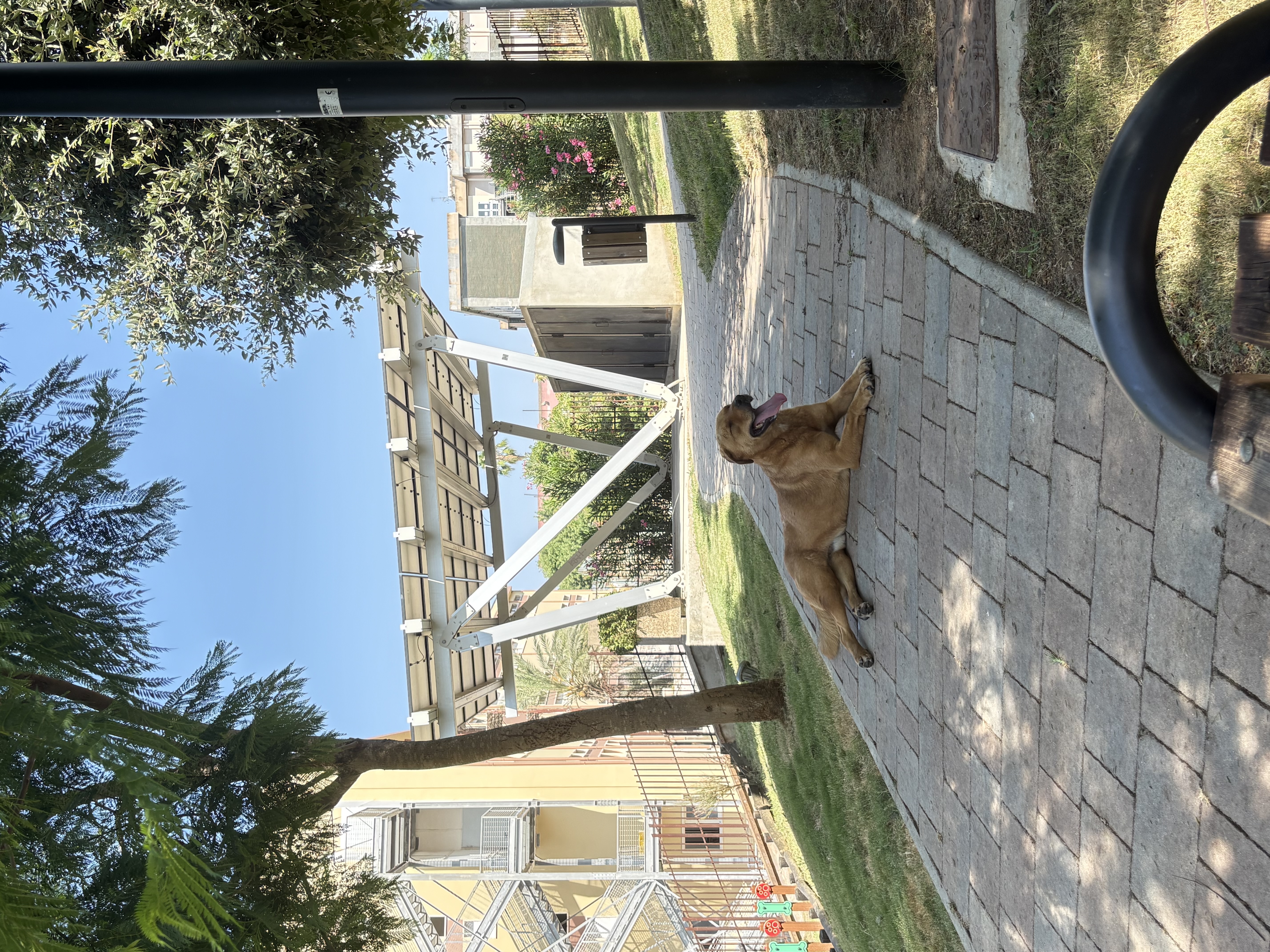 image-8